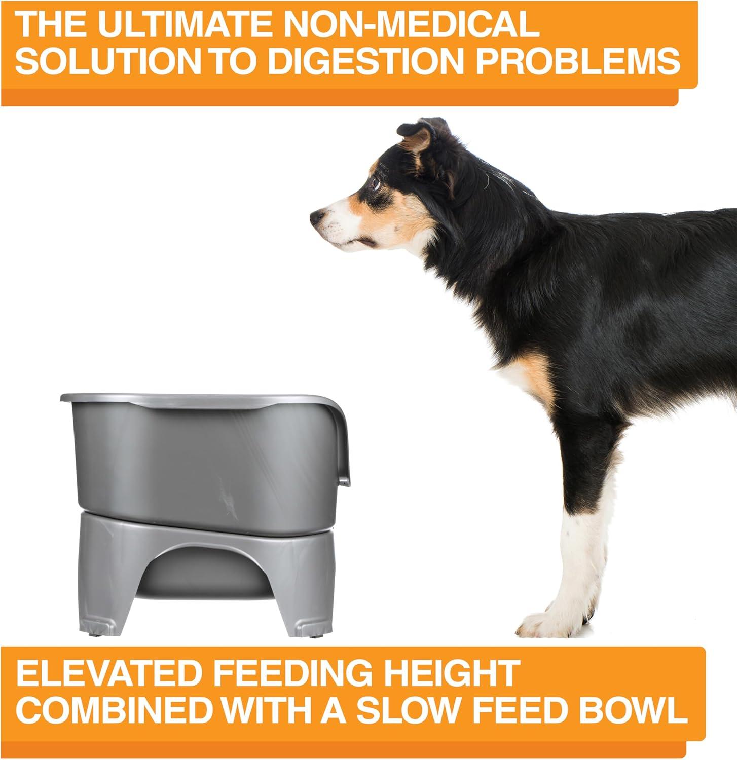 Gray Elevated Stainless Steel Pet Feeder with Slow Feed Bowl