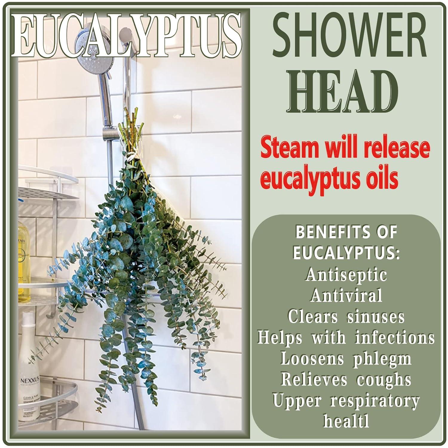 20Pcs Dried Eucalyptus Stems, Trianu 17" Natural Fresh Eucalyptus Branches for Shower, Real Plant for Vase Filler, Dried Flowers Arrangement, Floral Home Decor, Green