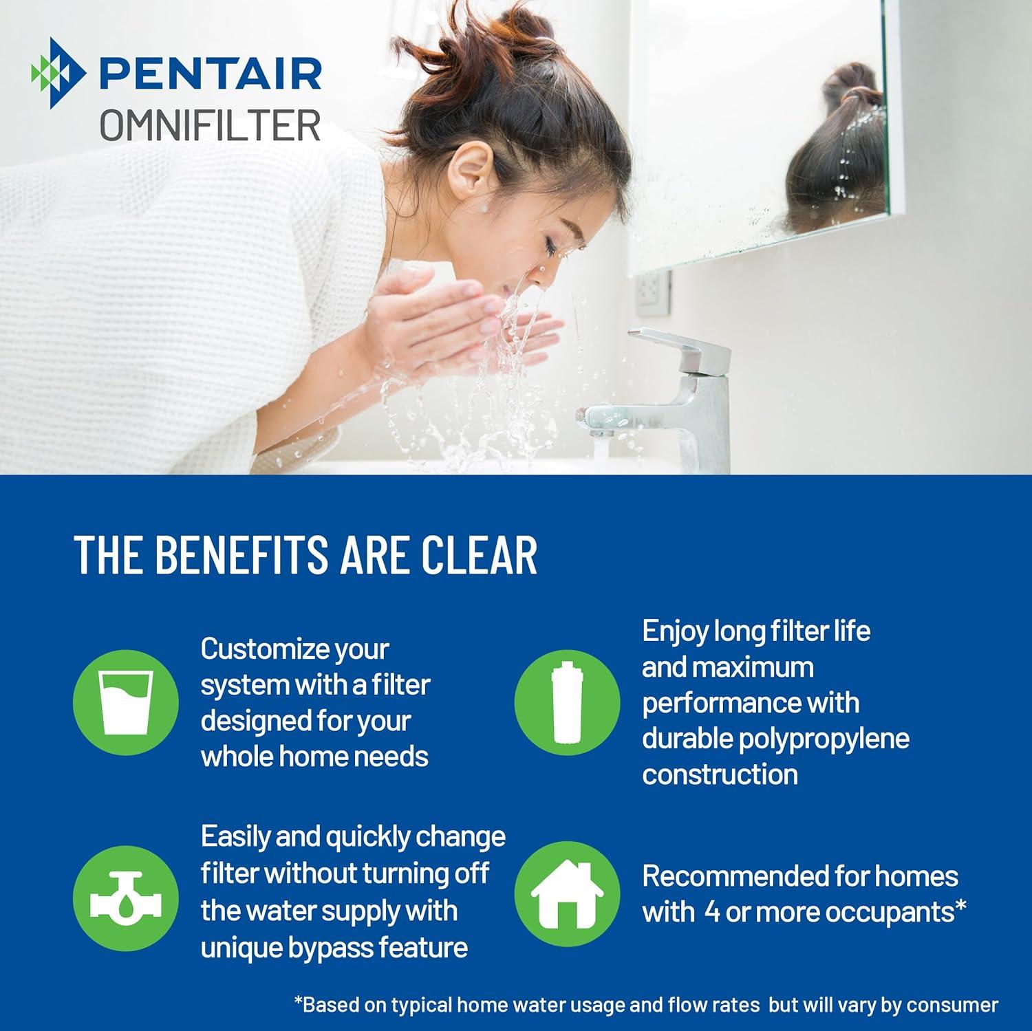 White Heavy-Duty Whole Home Water Filtration System, 20-inch