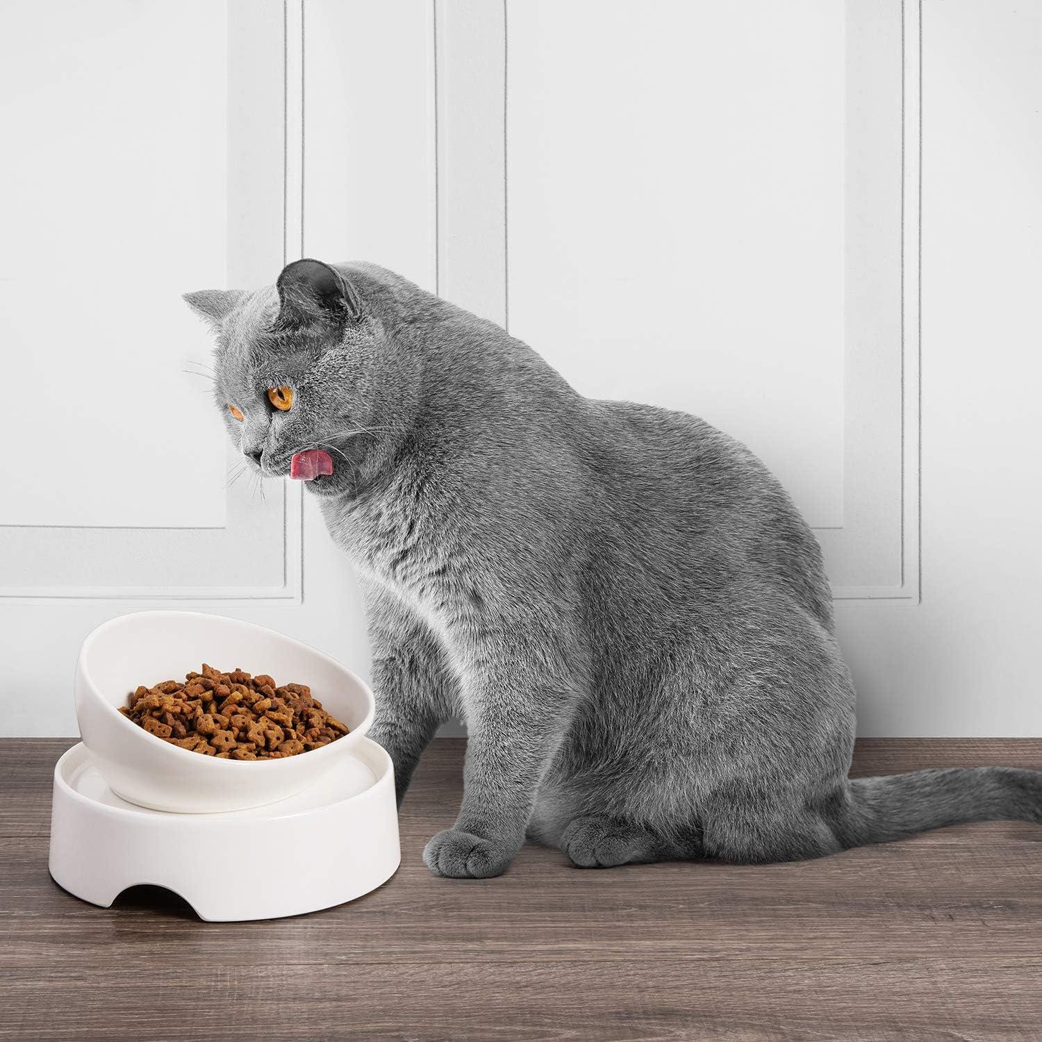 CatGuru Food Table for Cat Bowl, Marshmallow