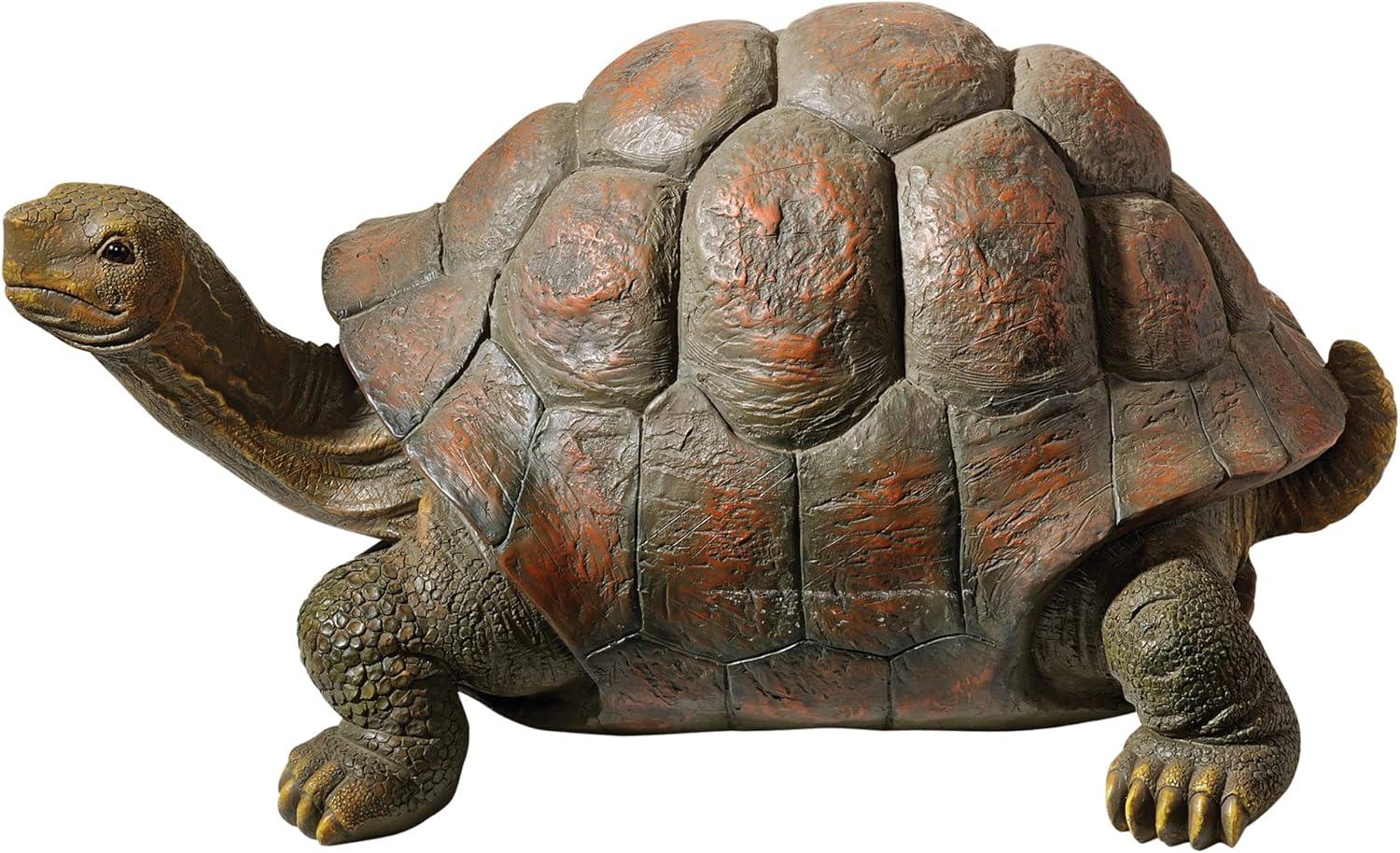 Design Toscano The Cagey Tortoise Statue