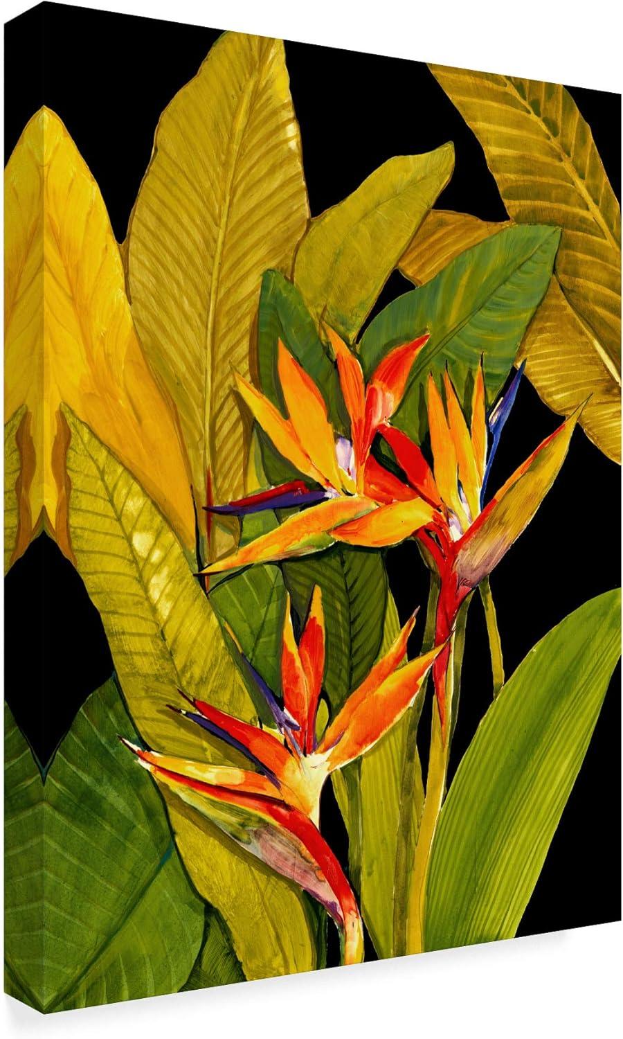 Tim Otoole 'Dramatic Bird Of Paradise' Canvas Art - 35x47