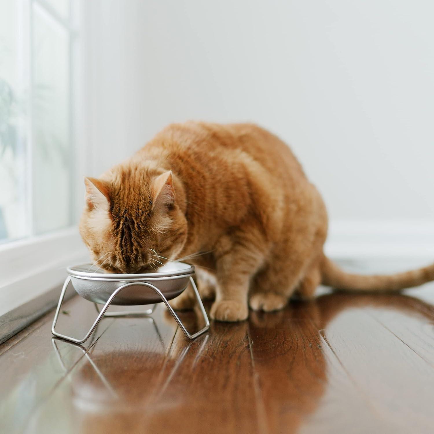 Raised Cat Bowl Stand for Food & Water by Americat – Made in USA – Stainless Steel, Spill-Proof Elevated Feeder, Dishwasher Safe, Human Grade, Whisker Friendly