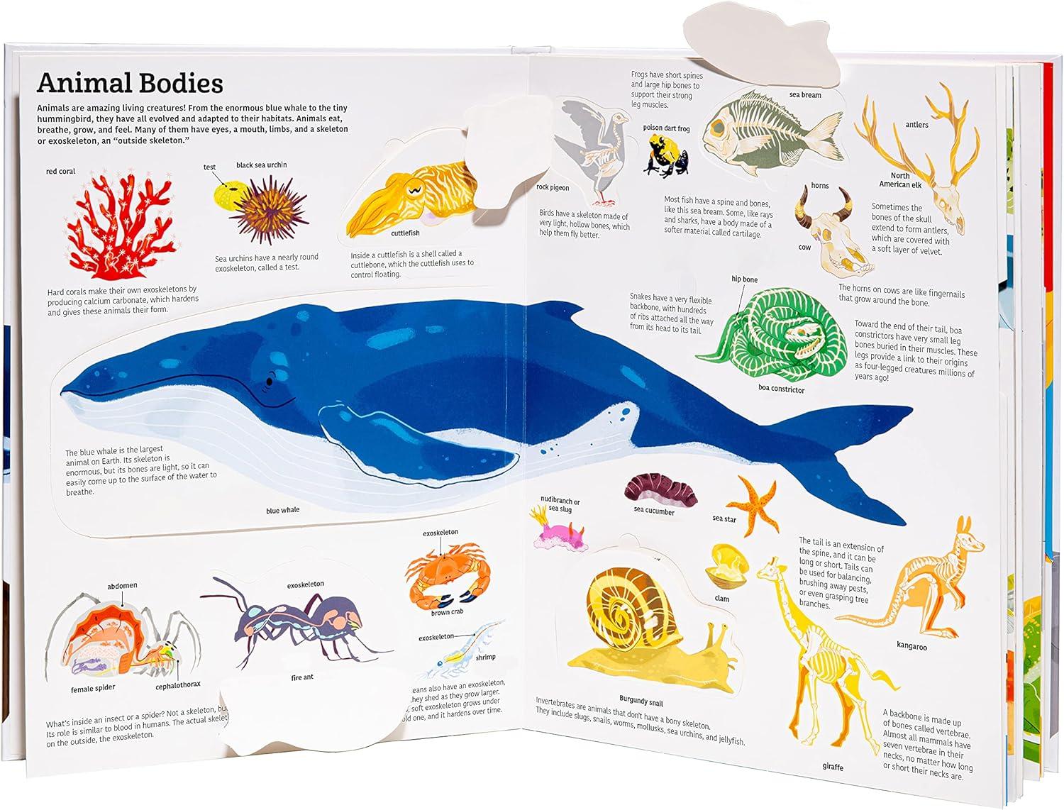 Interactive Hardcover Ultimate Animal Book for Kids