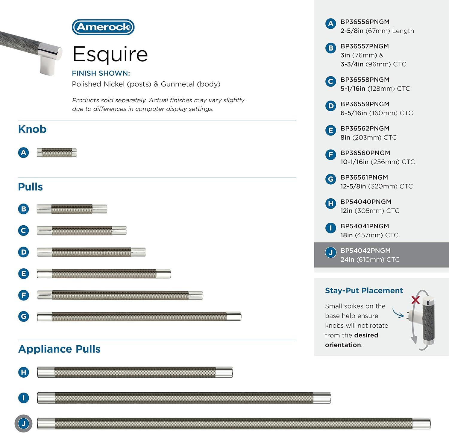 Amerock Esquire 24 inch (610mm) Center-to-Center Polished Nickel/Gunmetal Appliance Pull