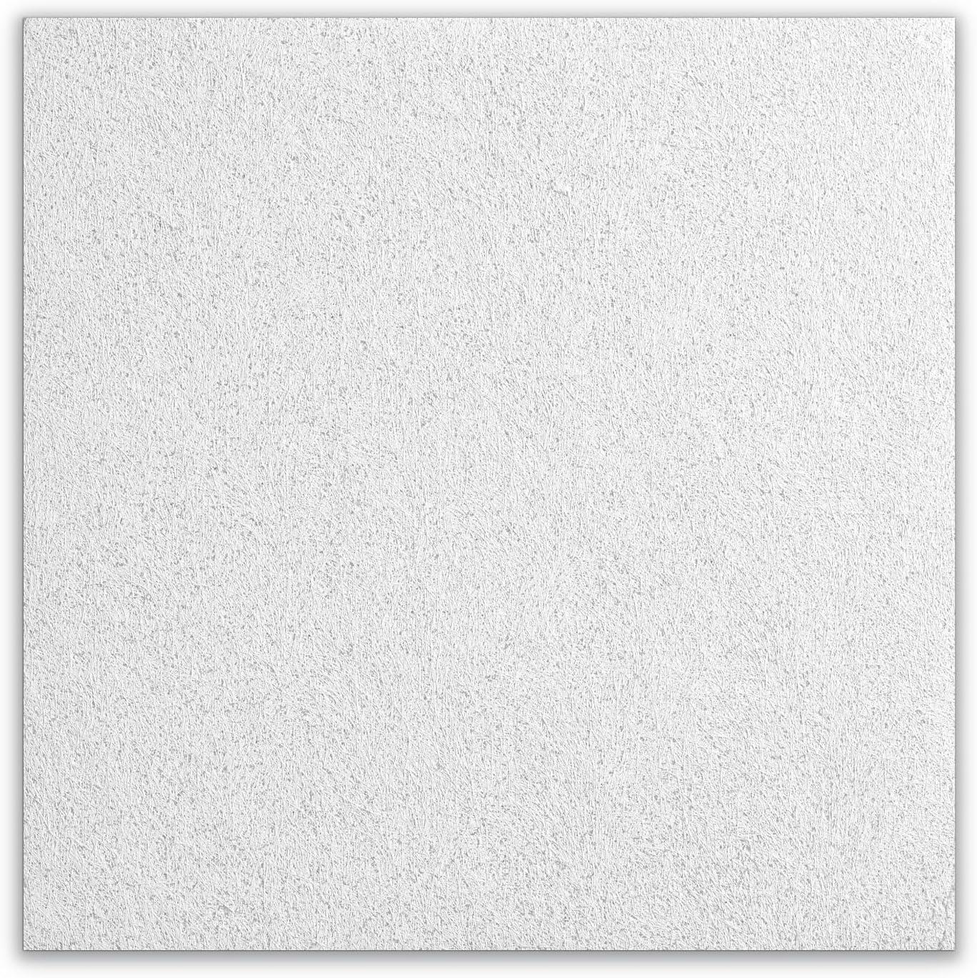 Armstrong Ceiling Tiles; 2x2 Ceiling Tiles - 16 pcs White Ceiling Tiles; Acoustic Ceilings for Suspended Ceiling Grid; CANYON 1490