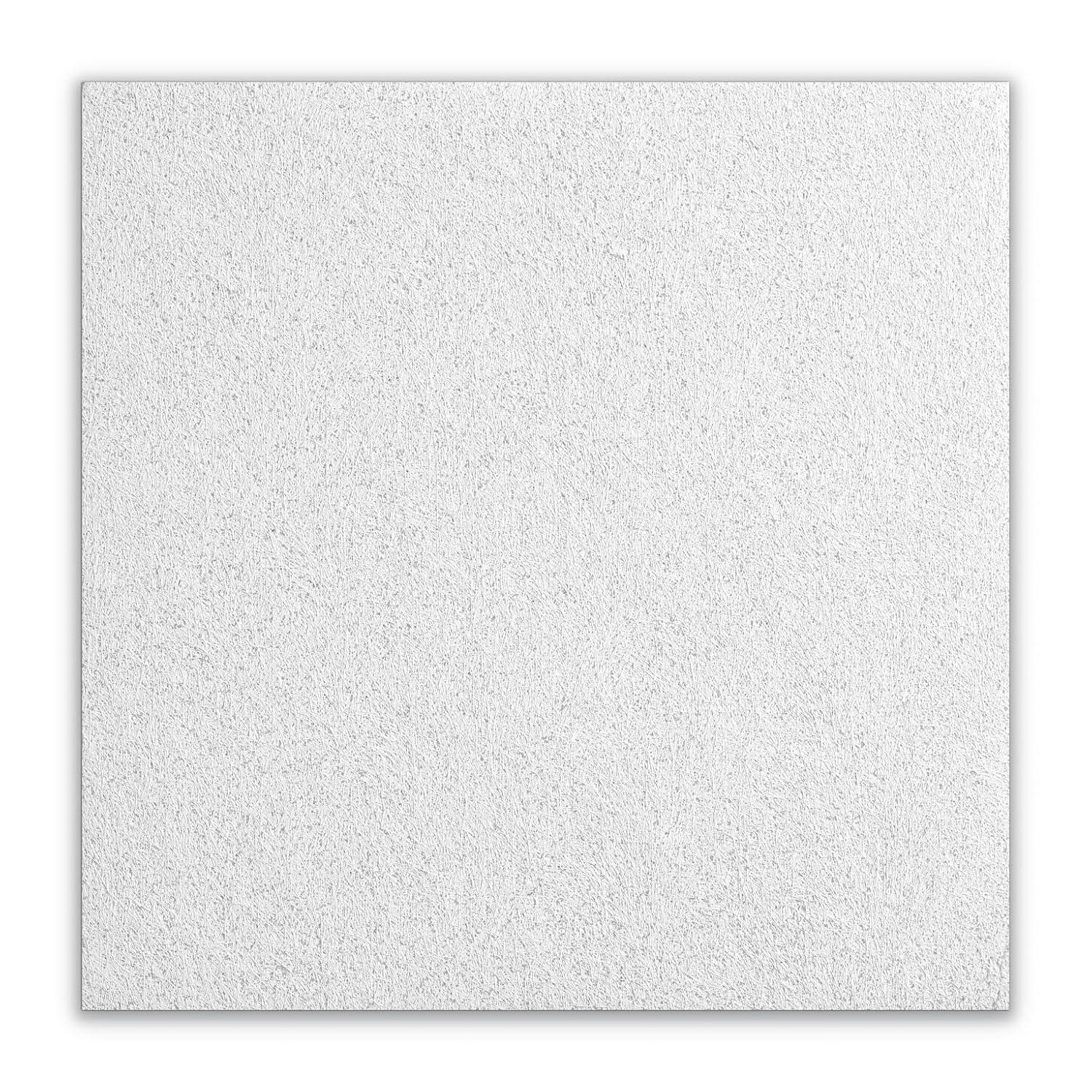 Armstrong Ceiling Tiles; 2x2 Ceiling Tiles - 16 pcs White Ceiling Tiles; Acoustic Ceilings for Suspended Ceiling Grid; CANYON 1490