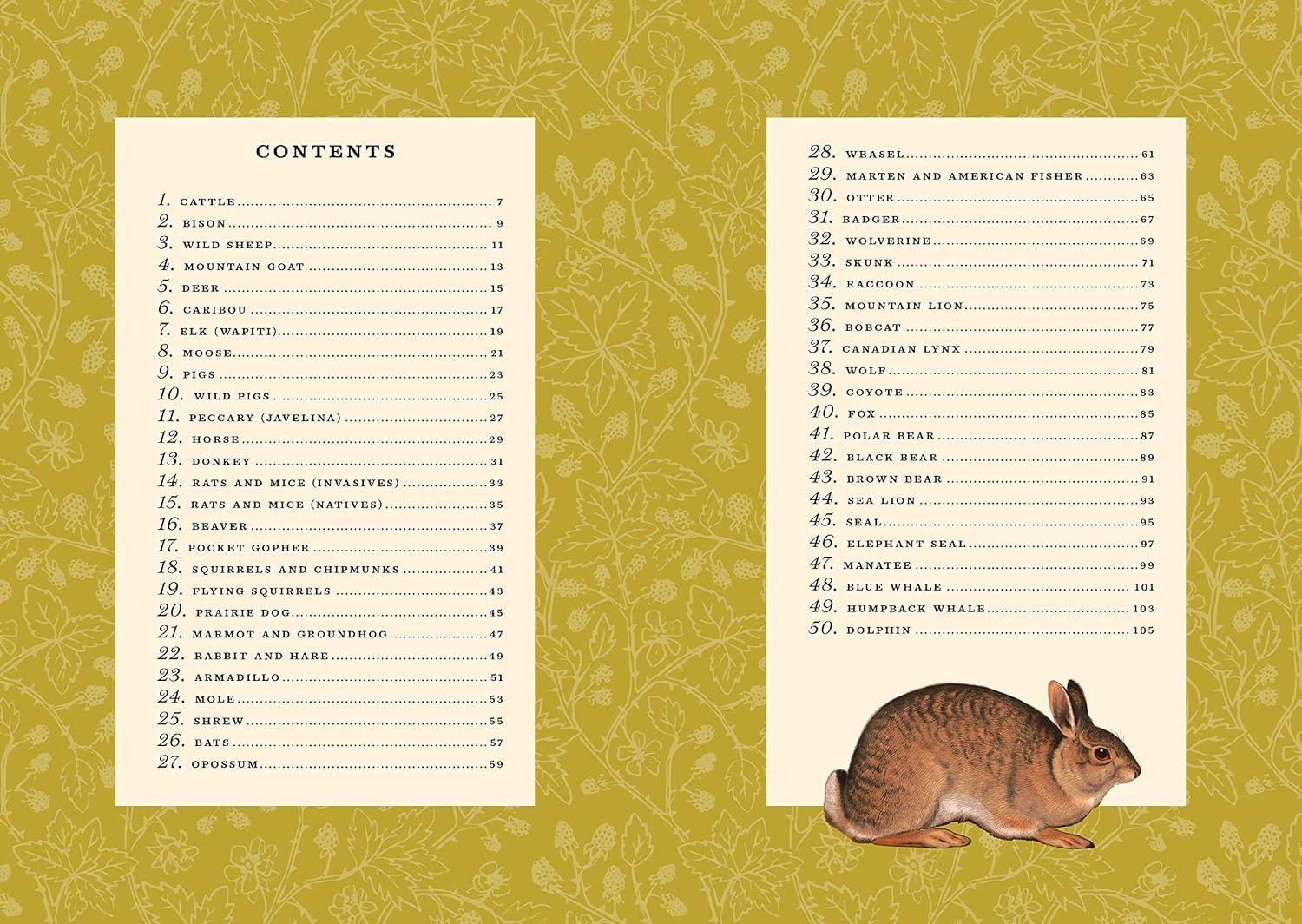 The Little Book of North American Mammals: A Guide for Kids