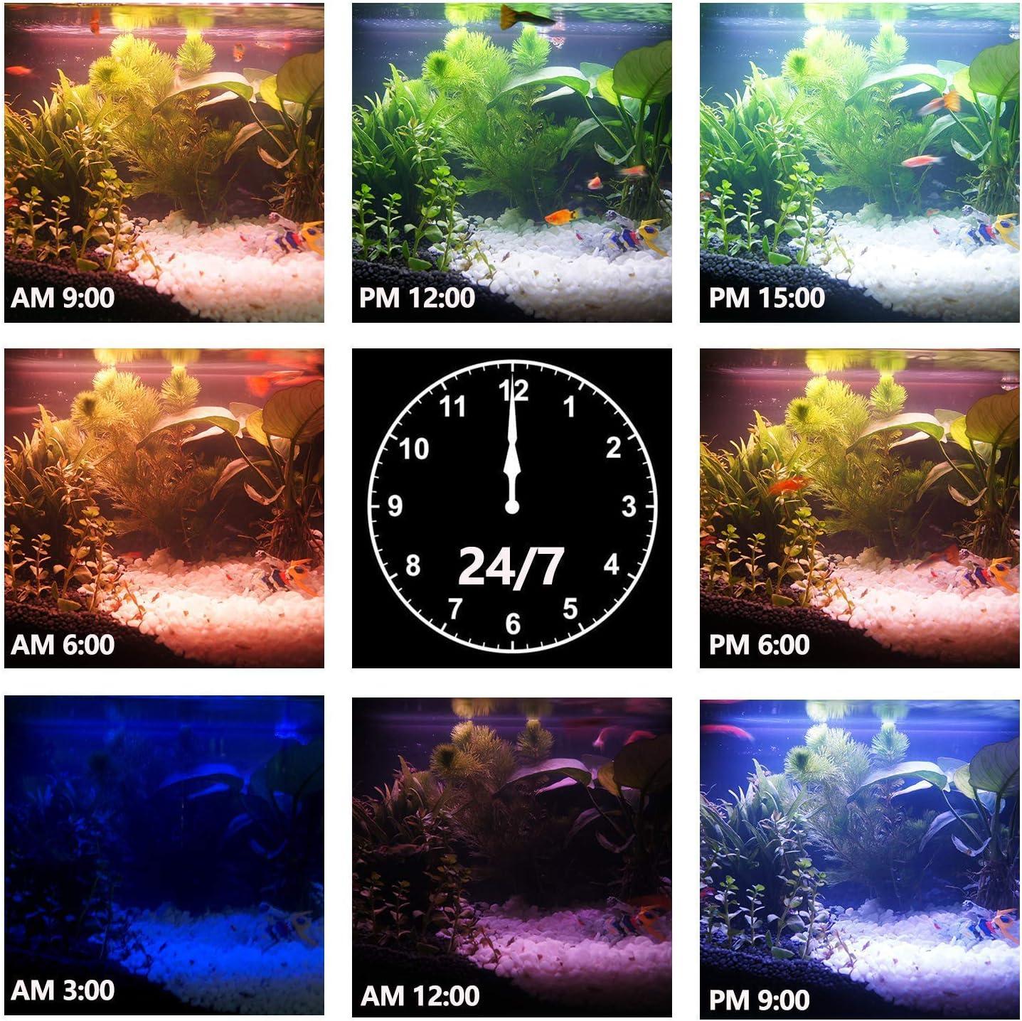 IREENUO Aquarium LED Light, Full Spectrum Fish Tank Clip on Light with Remote, Color Changing Lighting for Reef Coral Aquatic Plants and Fish Keeping (20W（23.6inch)