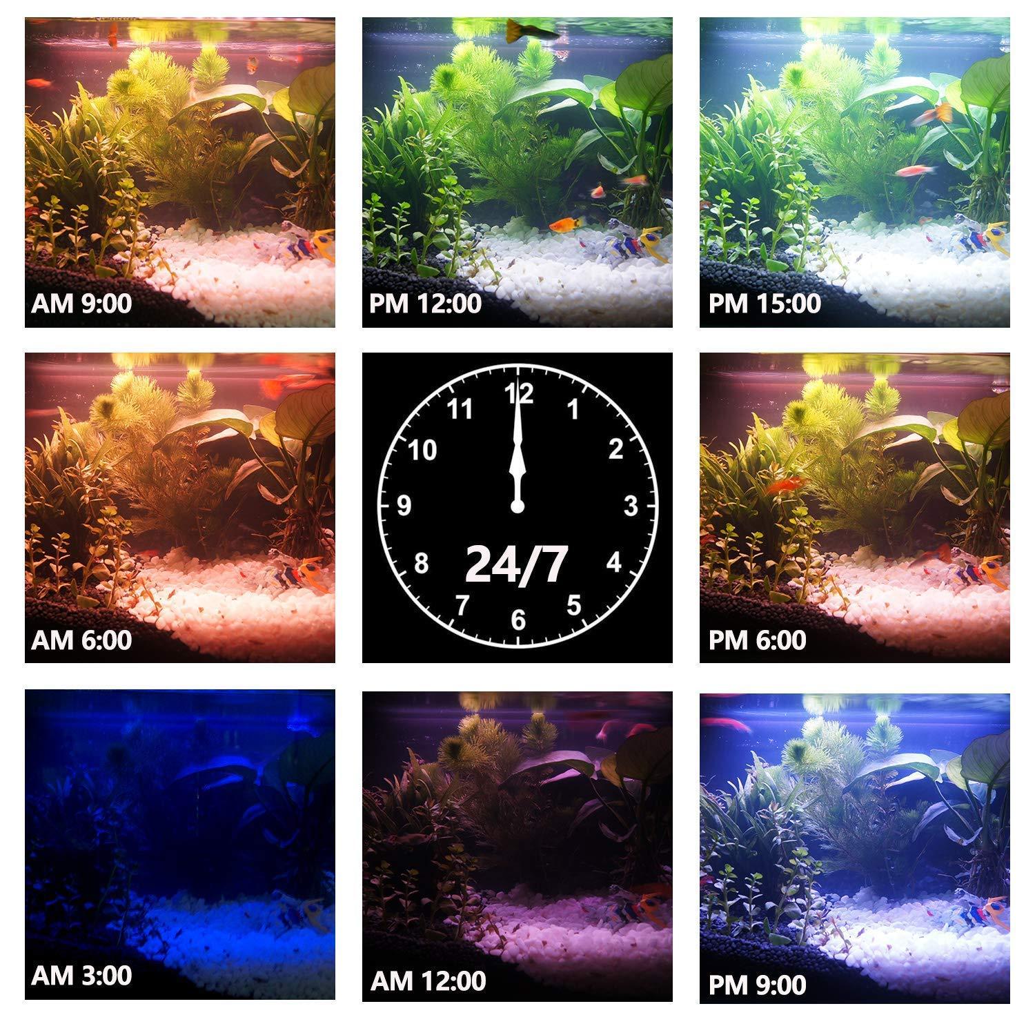 IREENUO Aquarium LED Light, Full Spectrum Fish Tank Clip on Light with Remote, Color Changing Lighting for Reef Coral Aquatic Plants and Fish Keeping (20W（23.6inch)