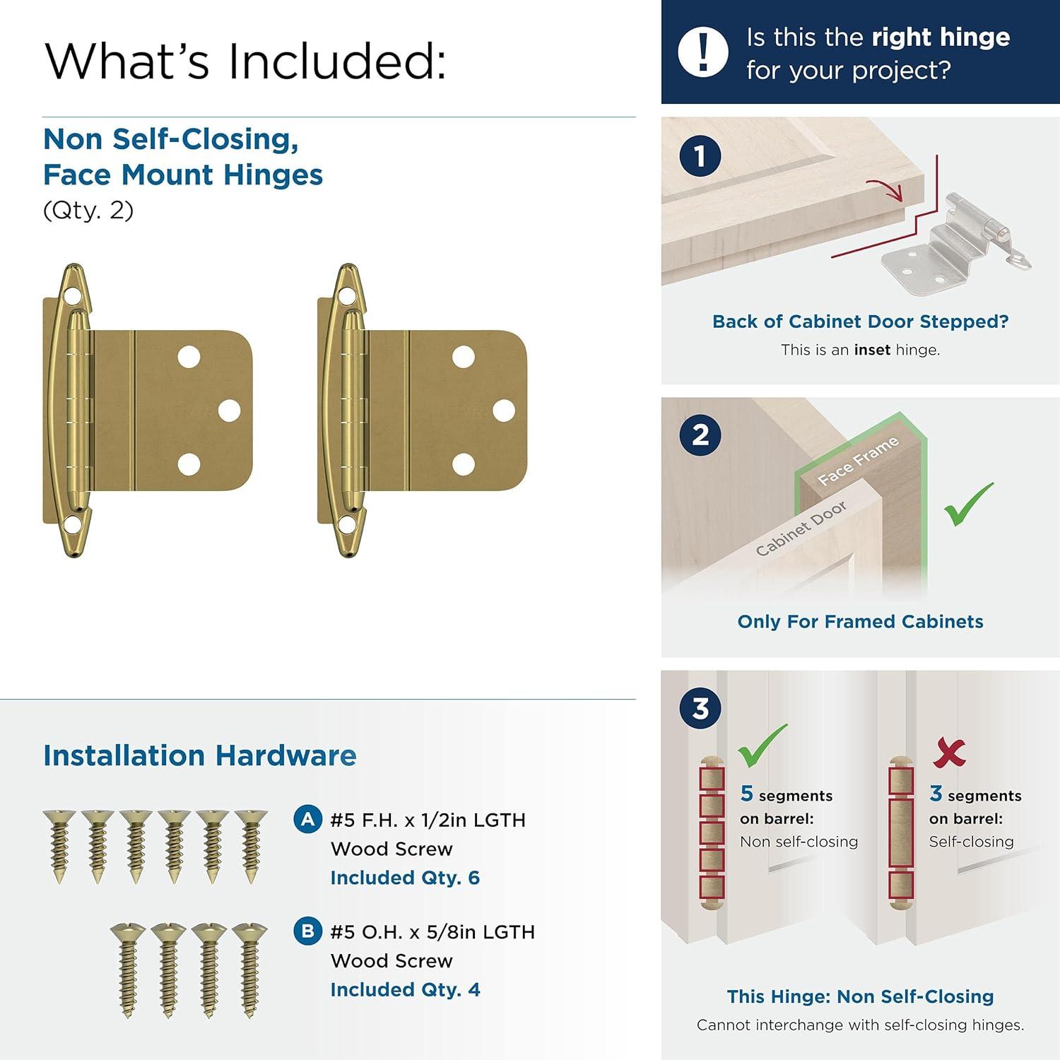 Face Mount Overlay Hinge