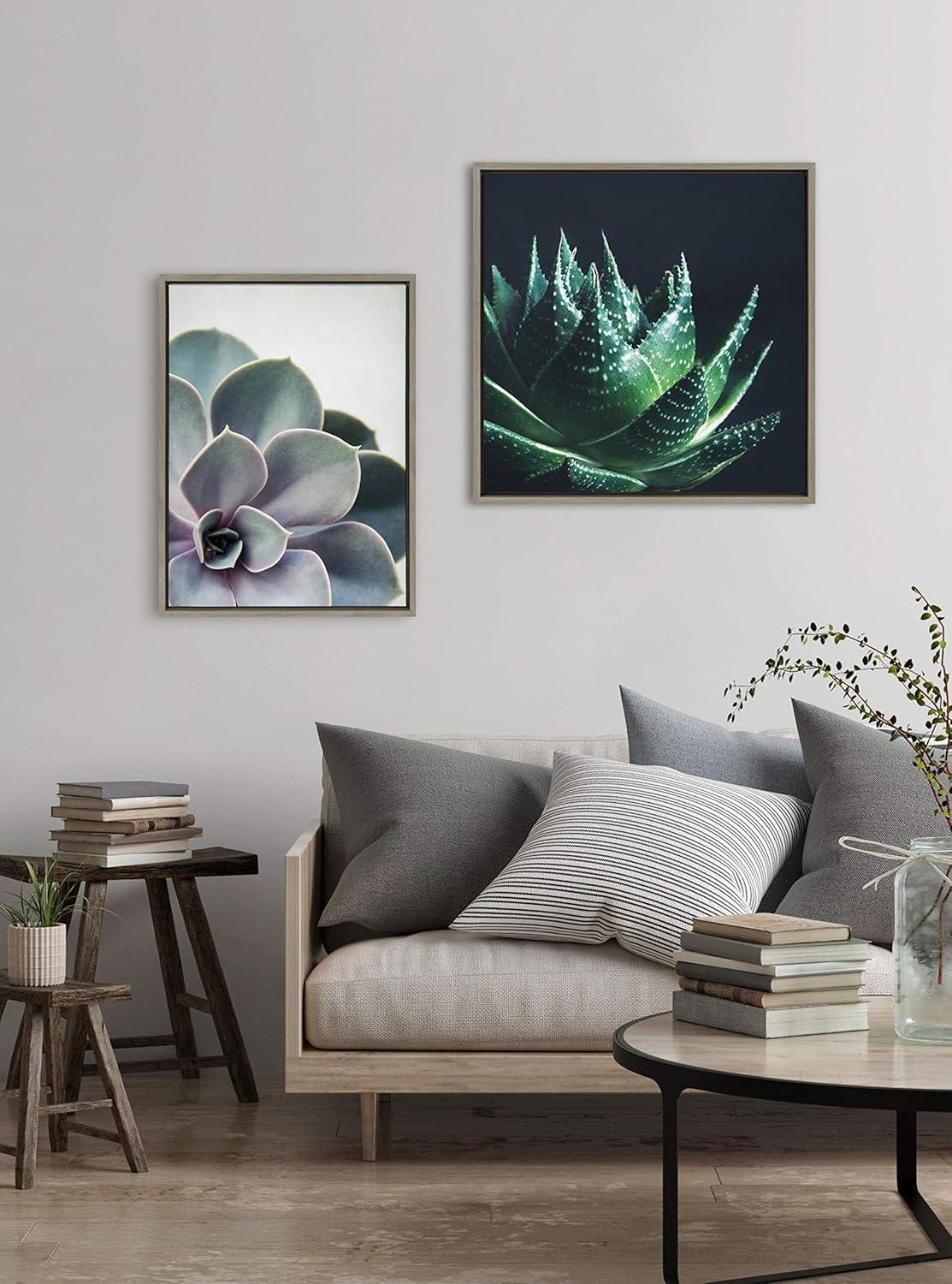 Sylvie Succulent 5 Framed Canvas by F2 Images - Kate & Laurel All Things Decor