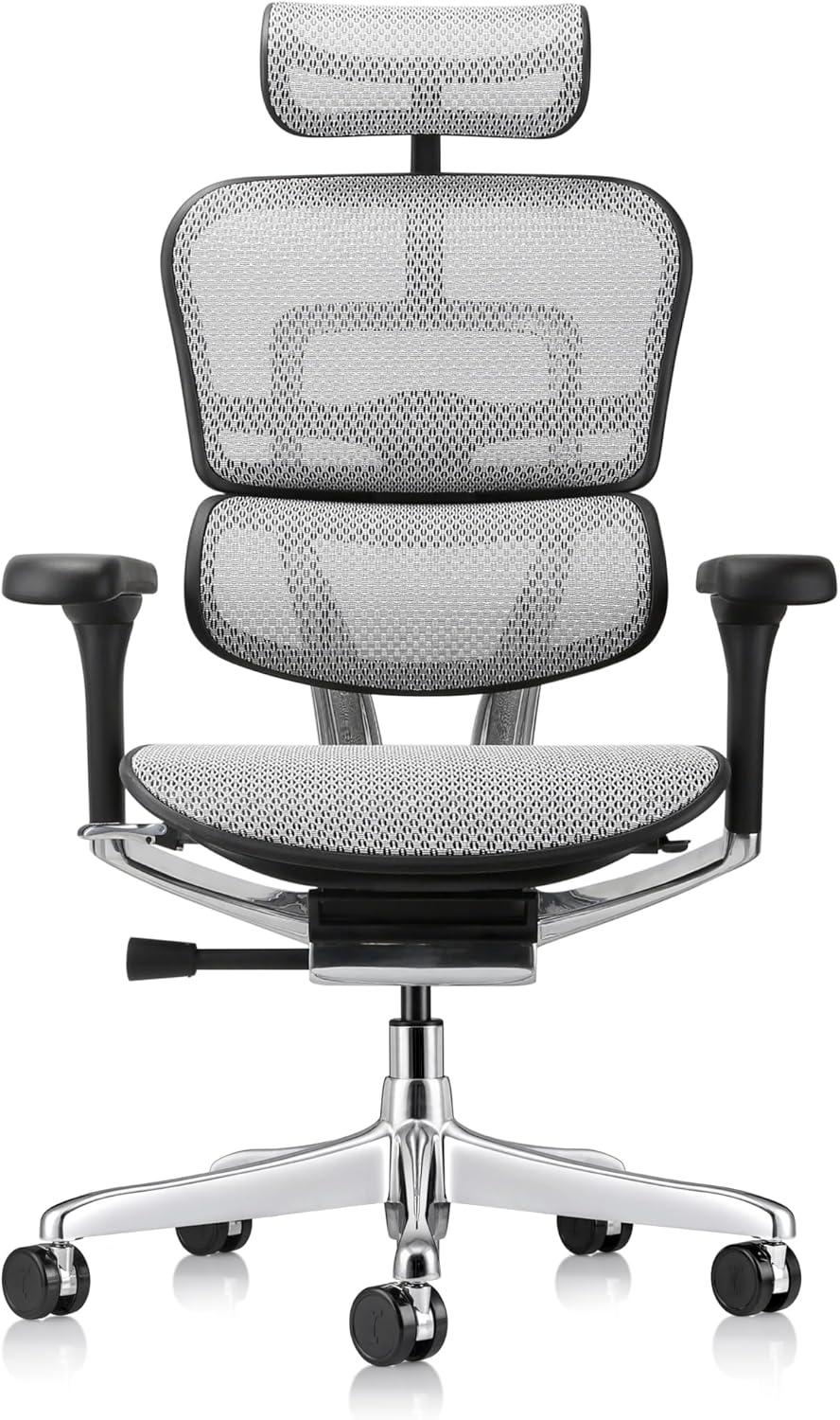 Eurotech Seating Ergohuman Executive Chair with Headrest