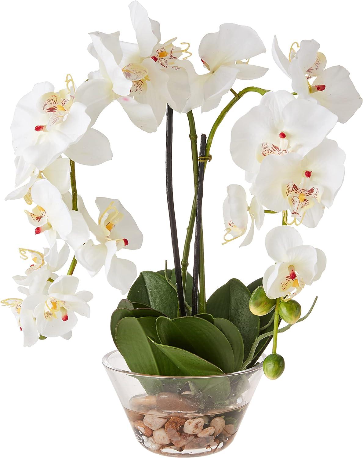 Nearly Natural 18" x 16" Artificial Phalaenopsis Orchid with Glass Vase White: Elegant Faux Orchid Display for Indoor Decor