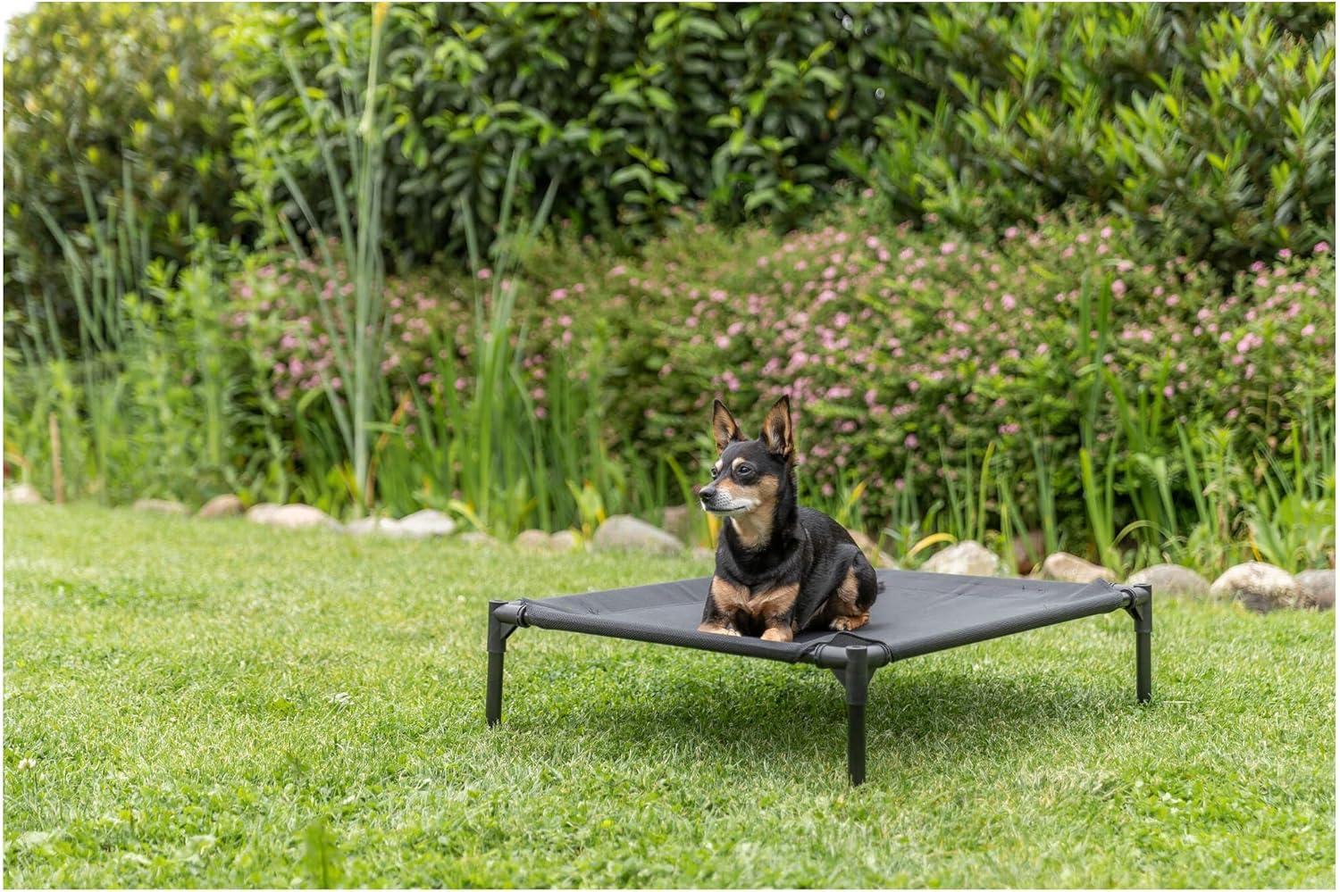 TRIXIE 2-in-1 Elevated Portable Dog House or Dog Cot & Tent for Small-Medium Dogs