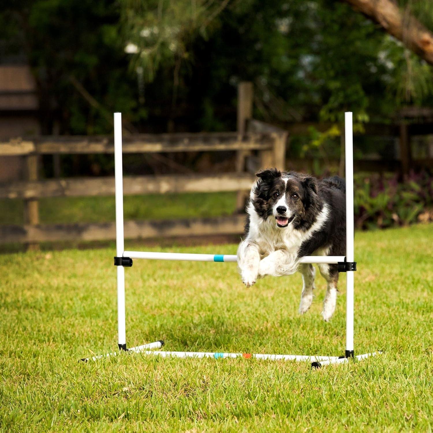 Midlee Dog Agility Bar Jumps- Set of 4 Jumps