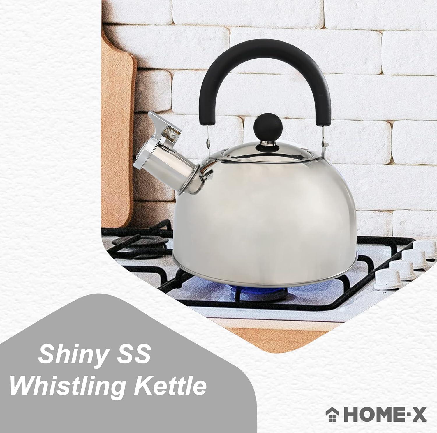 Stainless Steel Whistling Tea Kettle with Bakelite Handle