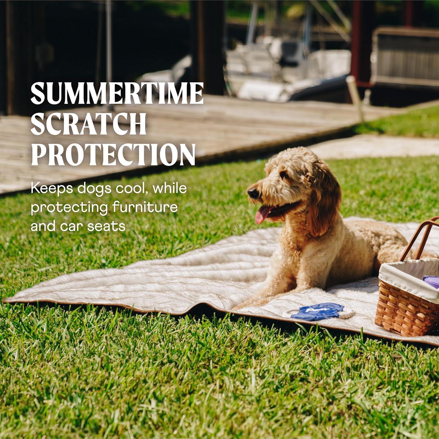 Paw Brands PupProtector Waterproof Throw Blanket