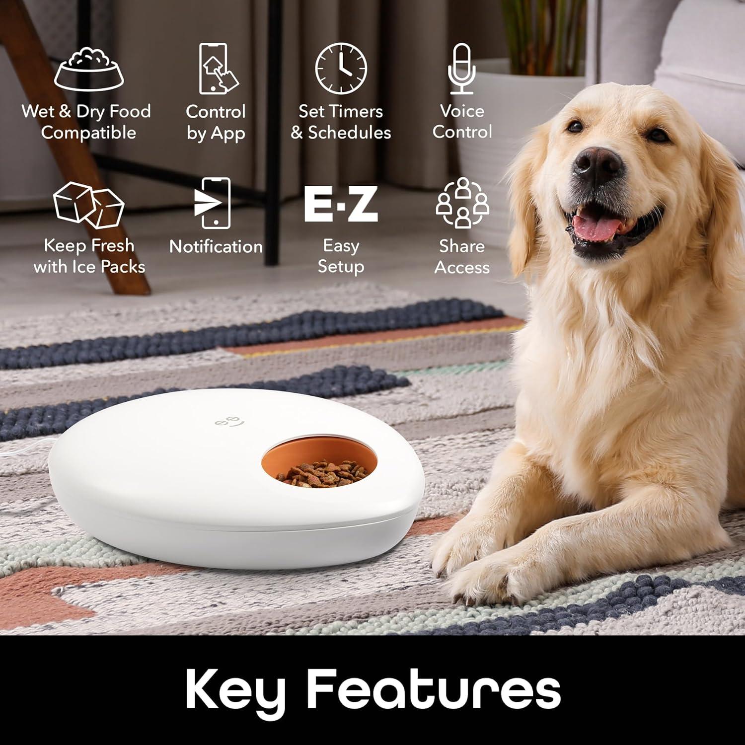 Geeni PetConnect Smart Pet Feeder for Wet and Dry Food