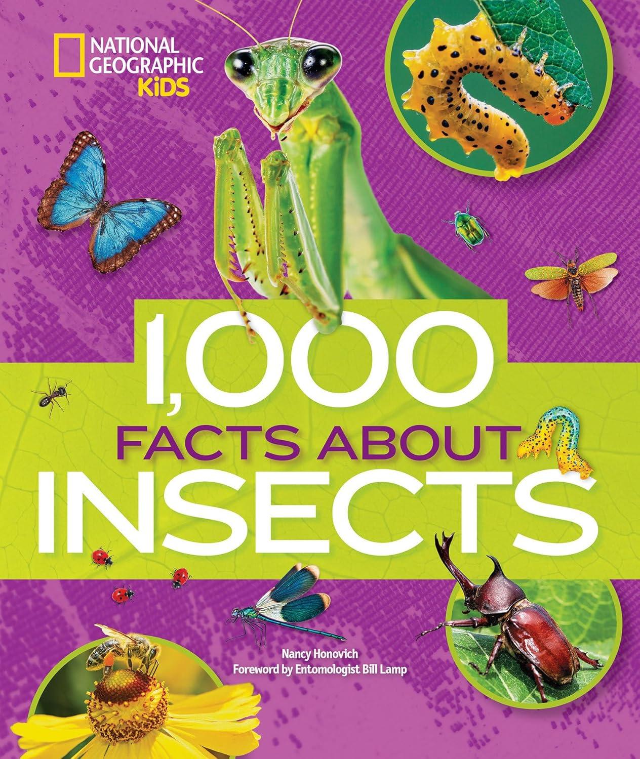 1,000 Facts about Insects - by Nancy Honovich (Hardcover)