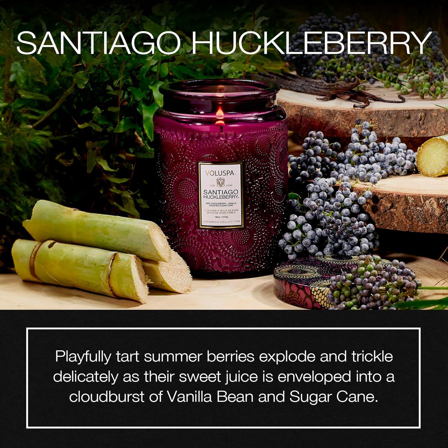 Voluspa Santiago Huckleberry Large Embossed Glass Jar Candle (18 Ounces)