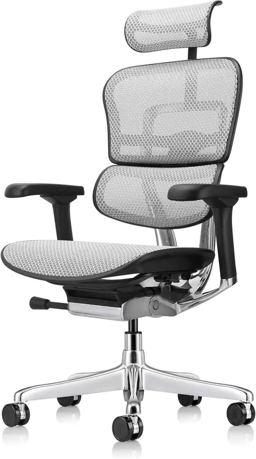 Eurotech Seating Ergohuman Executive Chair with Headrest