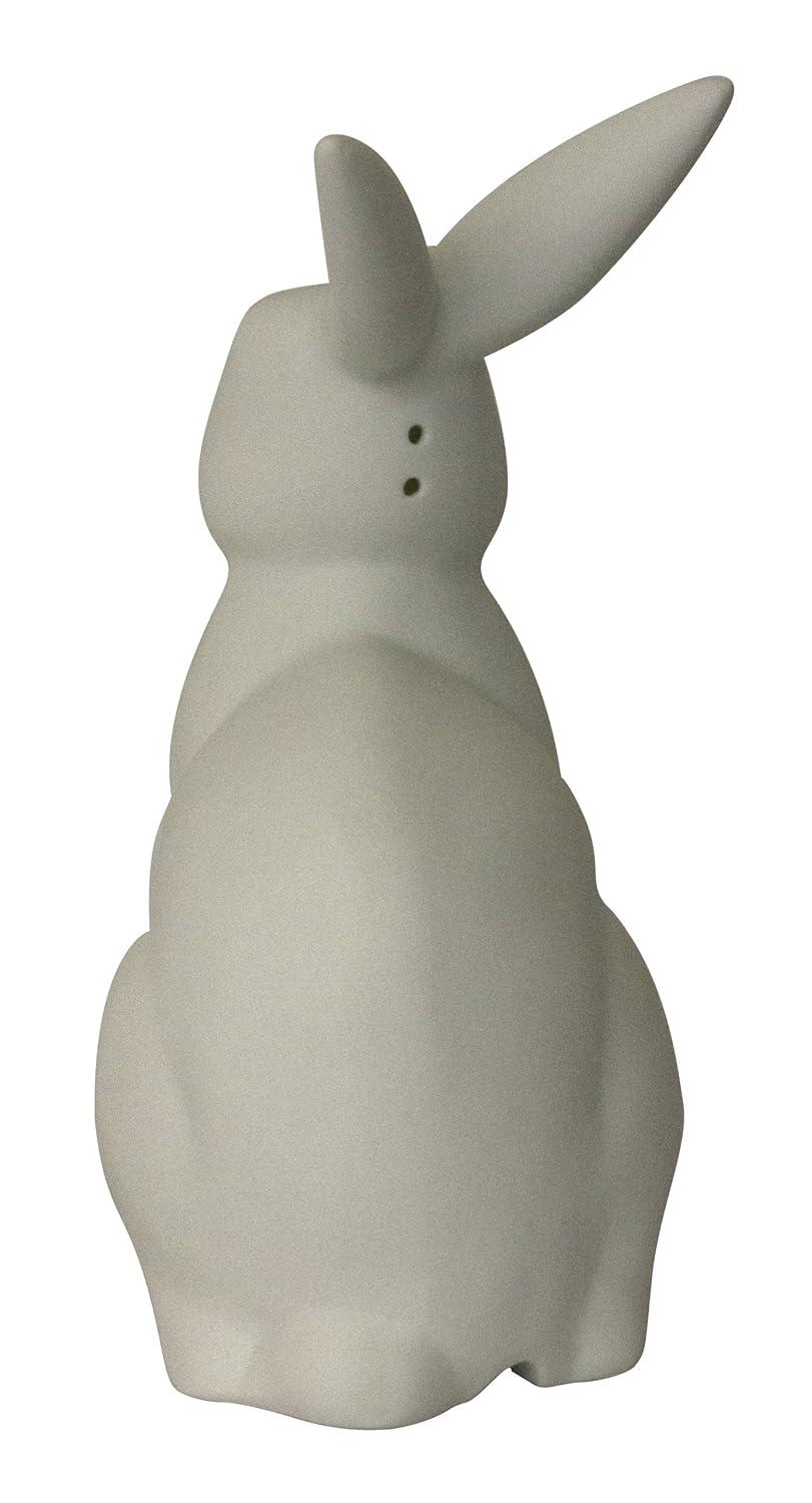 Gracie Oaks Creekwood Home 10.43" Glowing Ceramic Bunny Rabbit Light, For Home Décor, Nightstand, End Table, Entryway, Bookshelf, Kid's Room, White