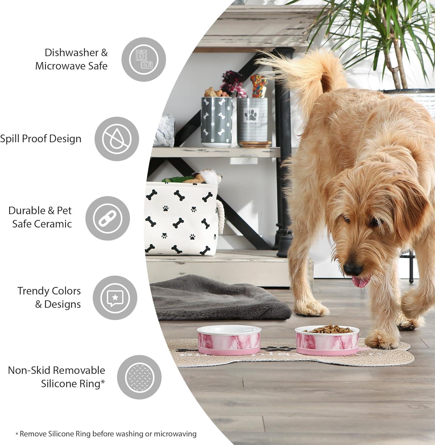 Large Multicolor Ceramic Pet Bowls with Non-Slip Base