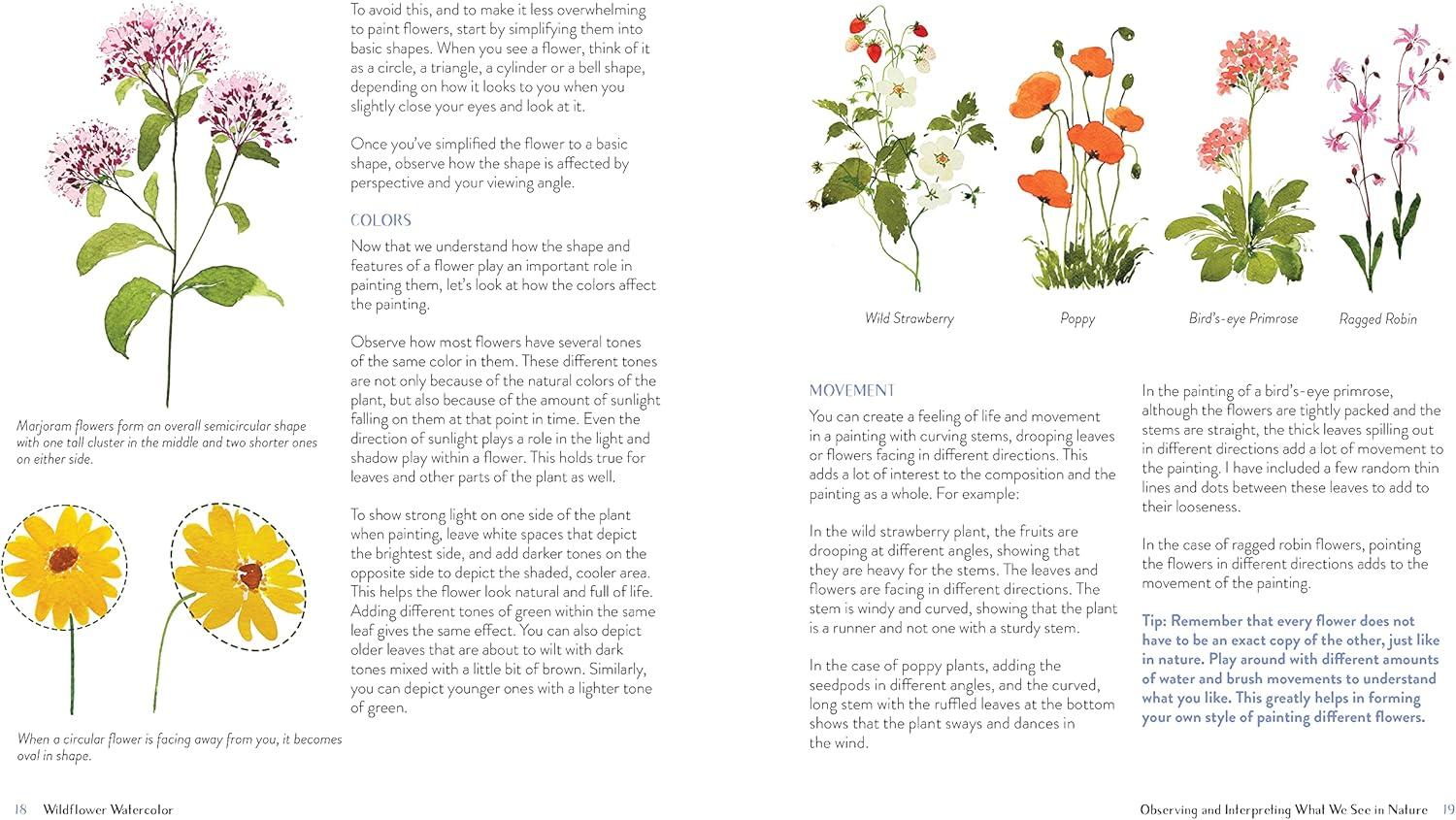 Wildflower Watercolor - by Sushma Hegde (Paperback)