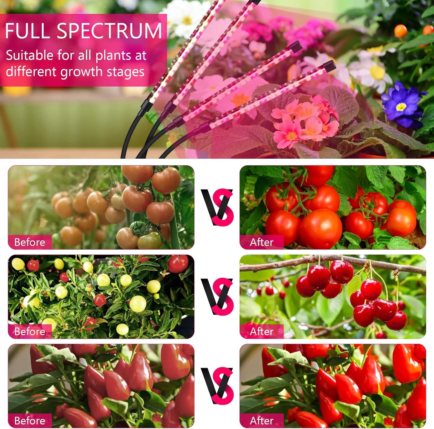 BEACHWATER POOL & SPA, LLC Grow Lights For Indoor Plants, Four Head LED Grow Light With Full Spectrum, Red White Spectrum For Indoor Plant Lamp, Adjustable Gooseneck, Suitable For Vegetation