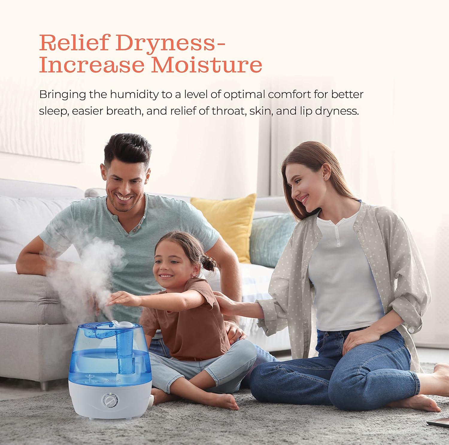 Blue and White 2.2L Cool Mist Humidifier with Adjustable Levels