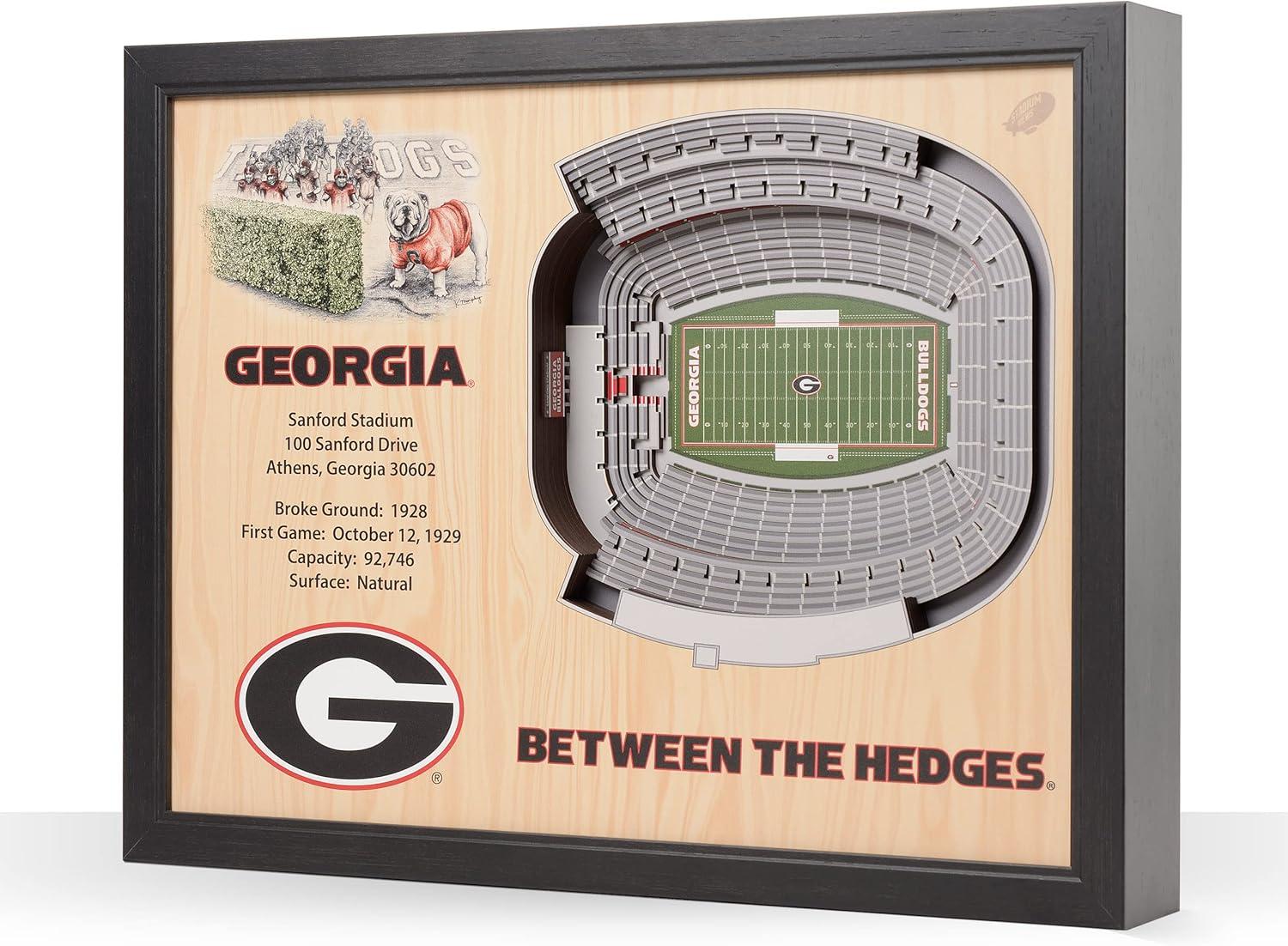 NCAA Georgia Bulldogs 25-Layer StadiumViews 3D Wall Art