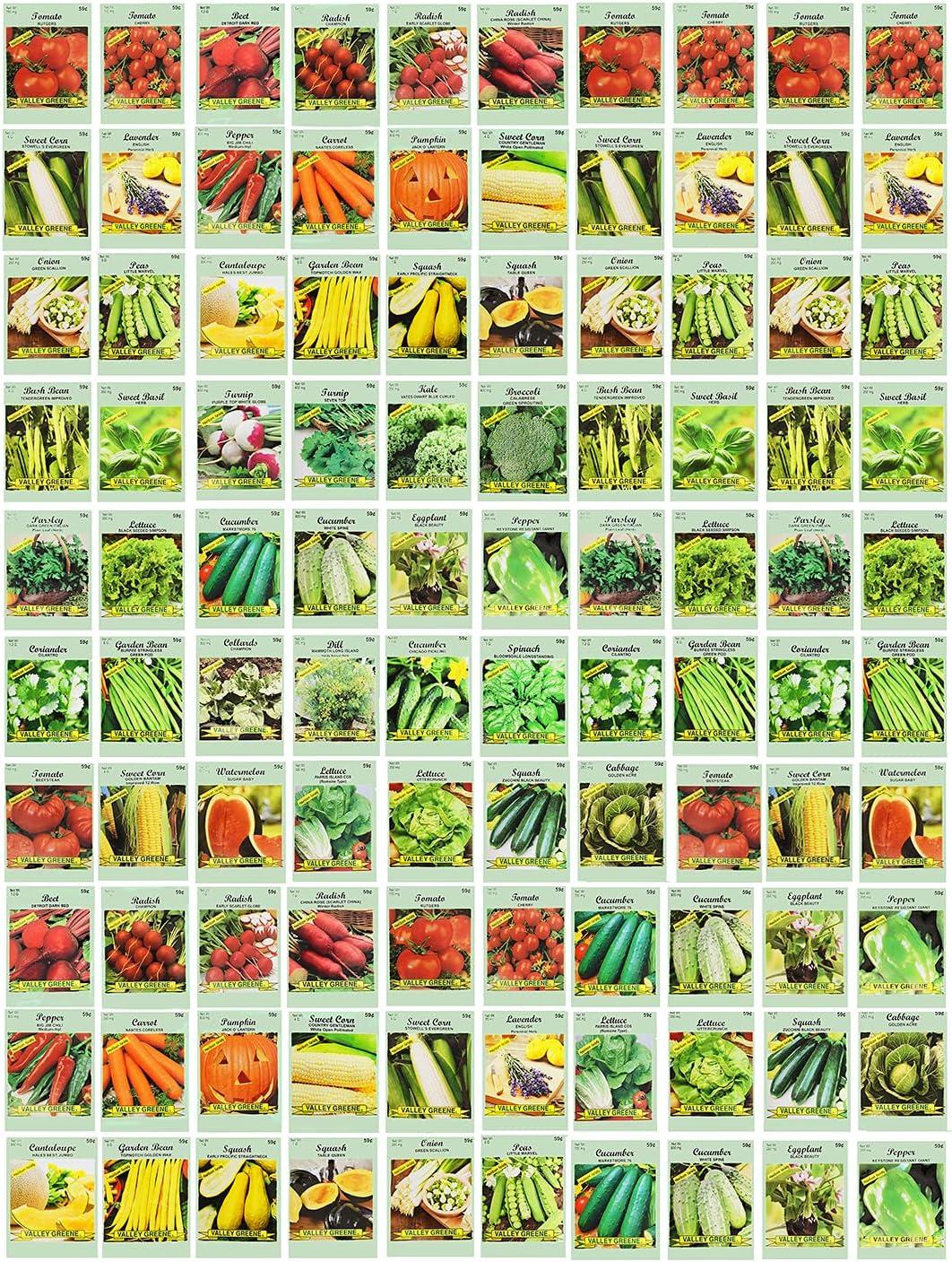 Valley Greene Assorted Heirloom Vegetable Plant Seeds (100 Pack), Non-GMO