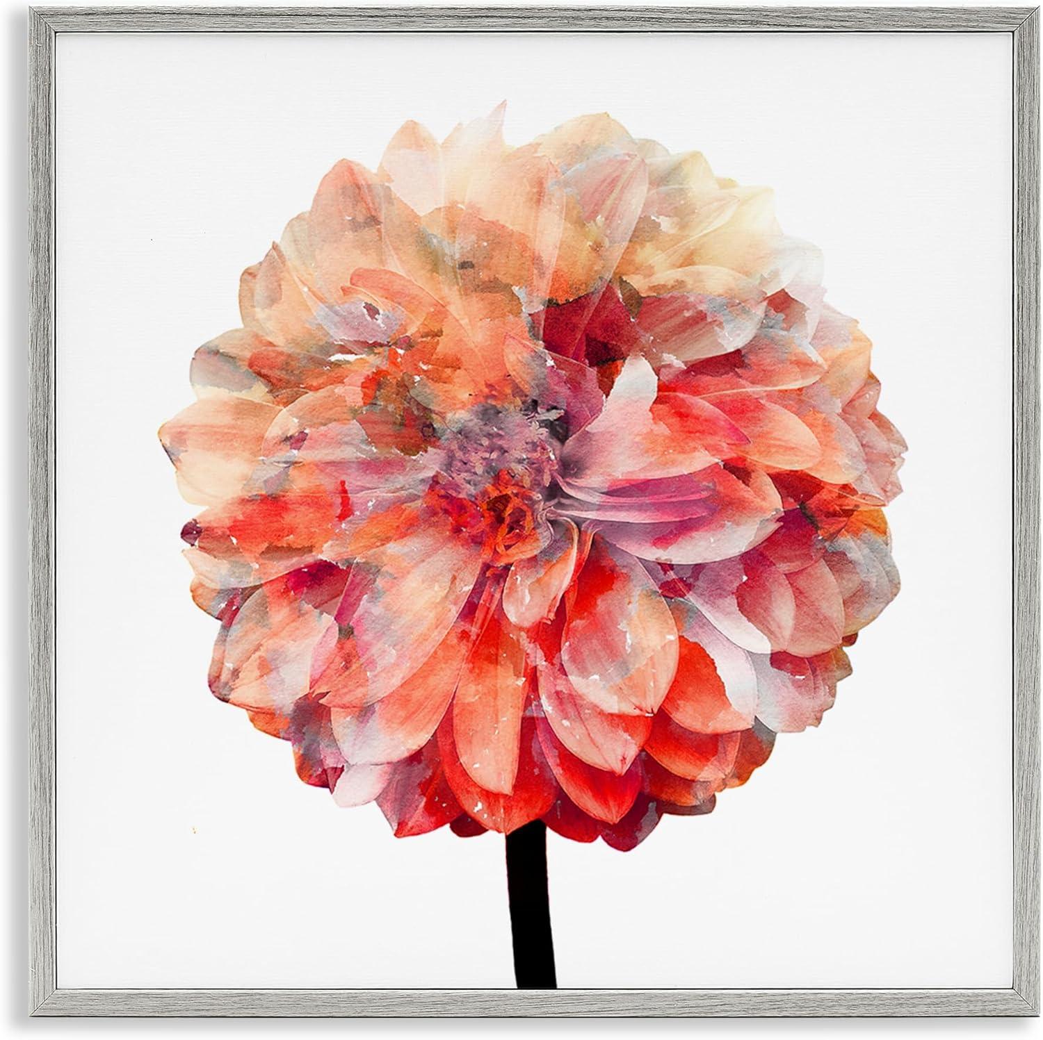 Stupell Industries Bright Coral Watercolor Bloom Dahlia Flower, 24 x 24,Design by Kimberly Allen