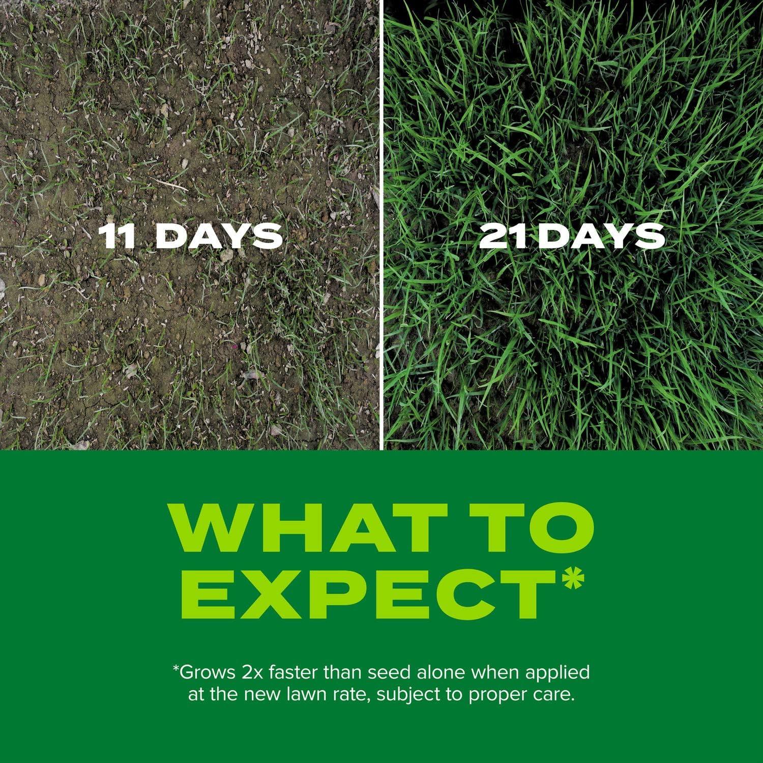 Scotts Turf Builder Rapid Grass Seed Tall Fescue Mix - 5.6lb