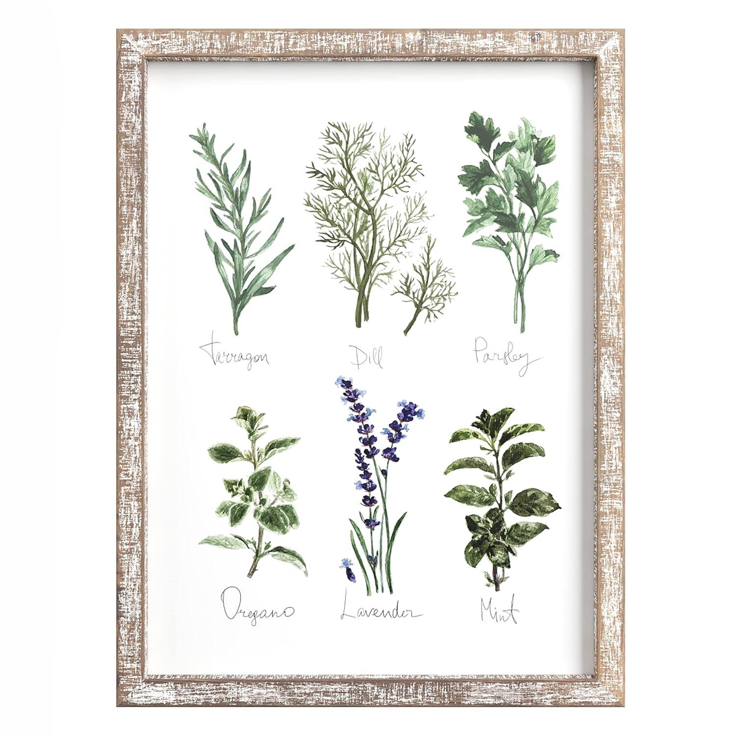Barnyard Designs Kitchen Herbs and Spices Wall Art Decor Botanical Print Sign Rustic Country Farmhouse Wood Plaque Framed Home Wall Decor 12" x 16" (Herbs B / 1 Sign)