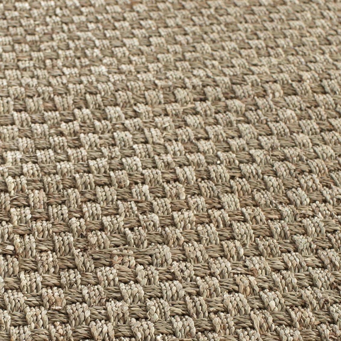Natural Fiber NF114 Power Loomed Indoor Accent Rug - Natural/Black - 2'x3' - Safavieh.