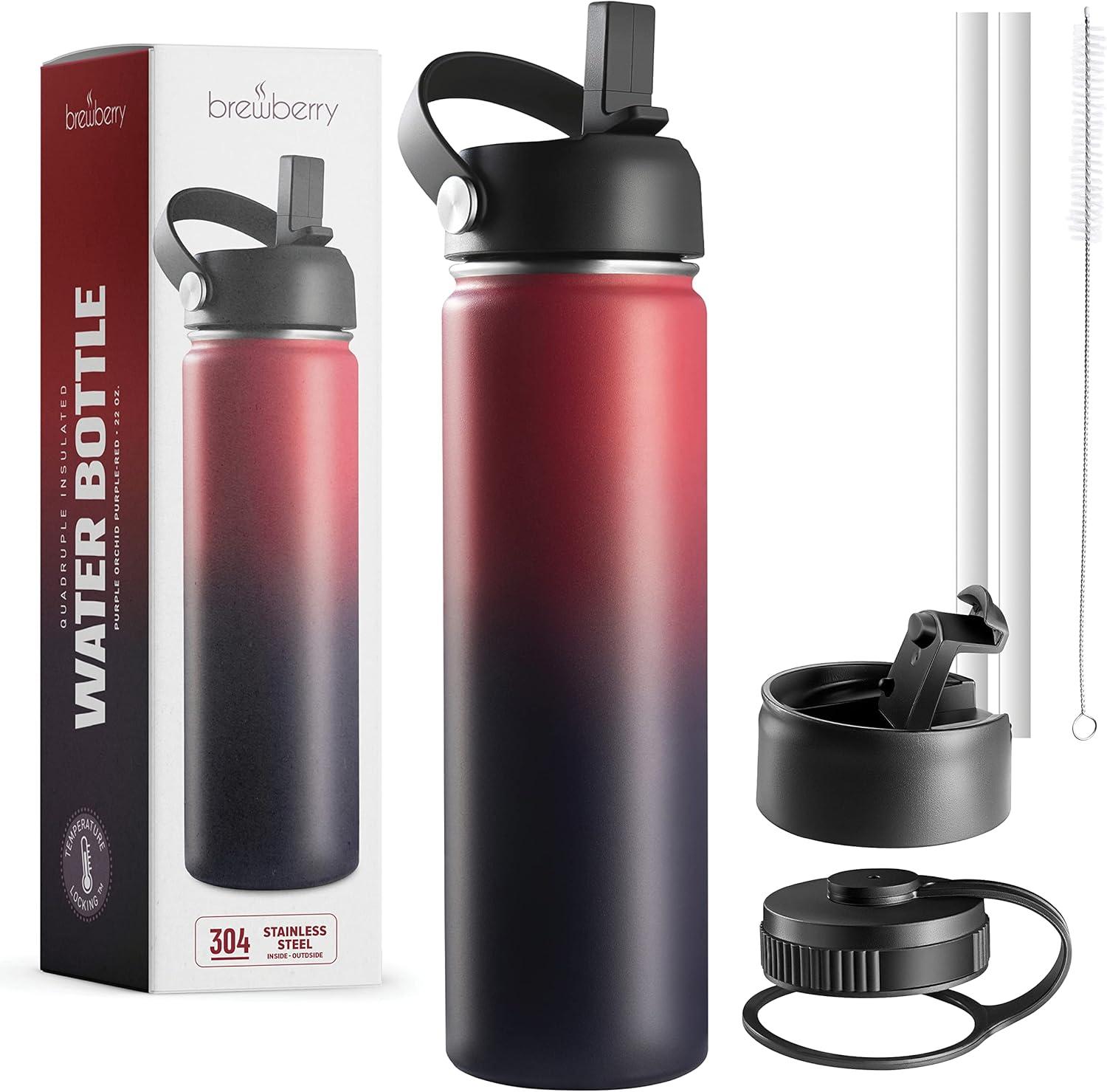 Brewberry Insulated Water Bottle and Travel Mug for Hot and Cold Beverages With Straw