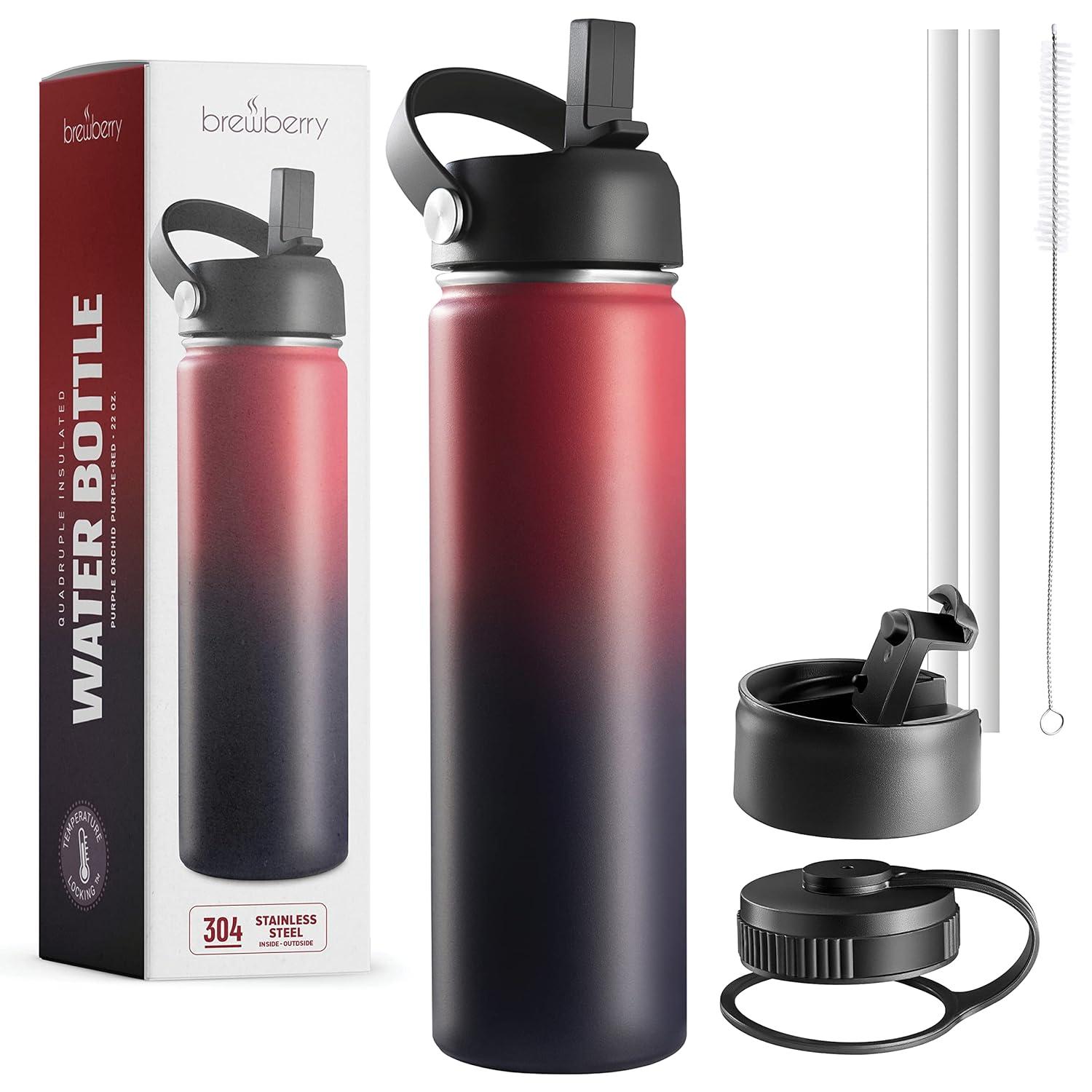 Brewberry Insulated Water Bottle and Travel Mug for Hot and Cold Beverages With Straw