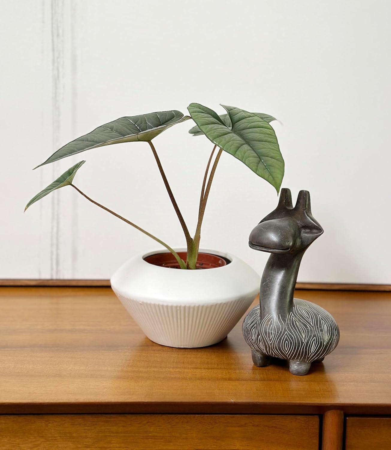 Admired by Nature Ceramic Planter Ceramic Table Vase