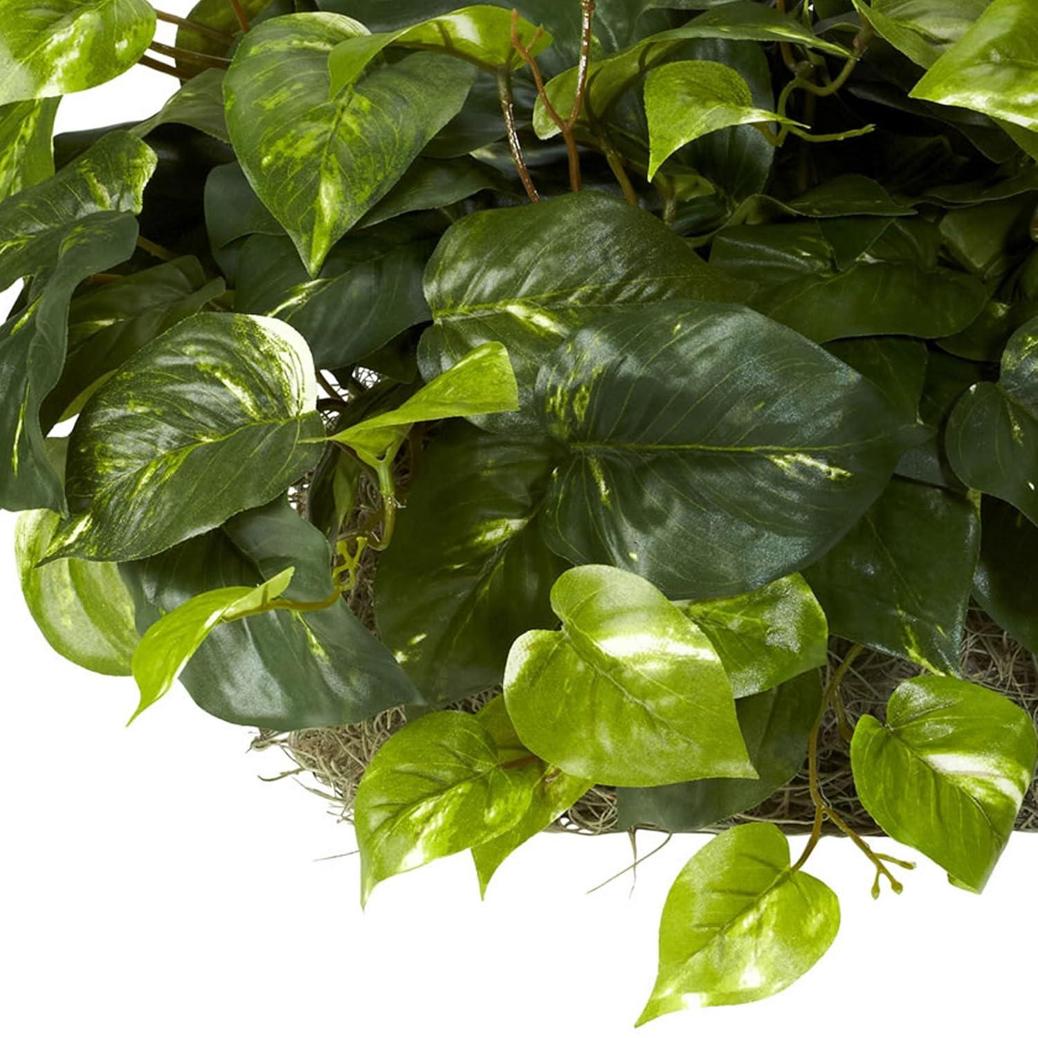 Primrue Pothos Ledge Plant (Set on Foam) Silk Plant