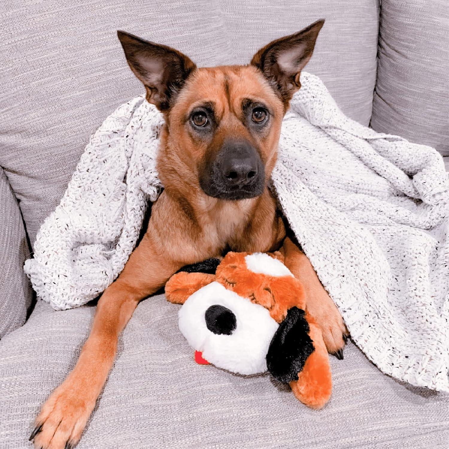 SmartPetLove Snuggle Puppy Behavioral Aid Toy, Brown and White