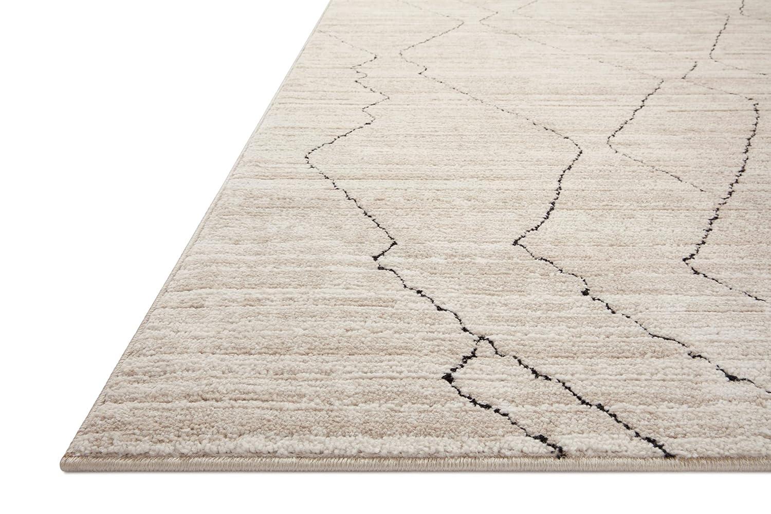 Loloi II Darby Performance Area Rug in Sand