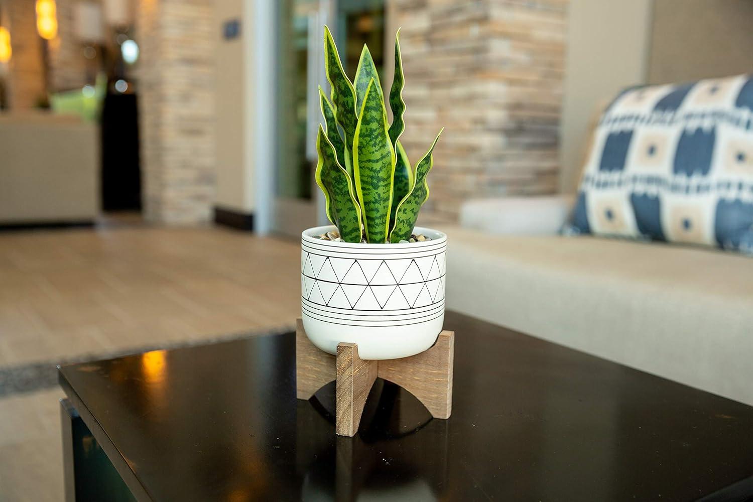 Chic Matte White Ceramic Tabletop Succulent Arrangement in Planter