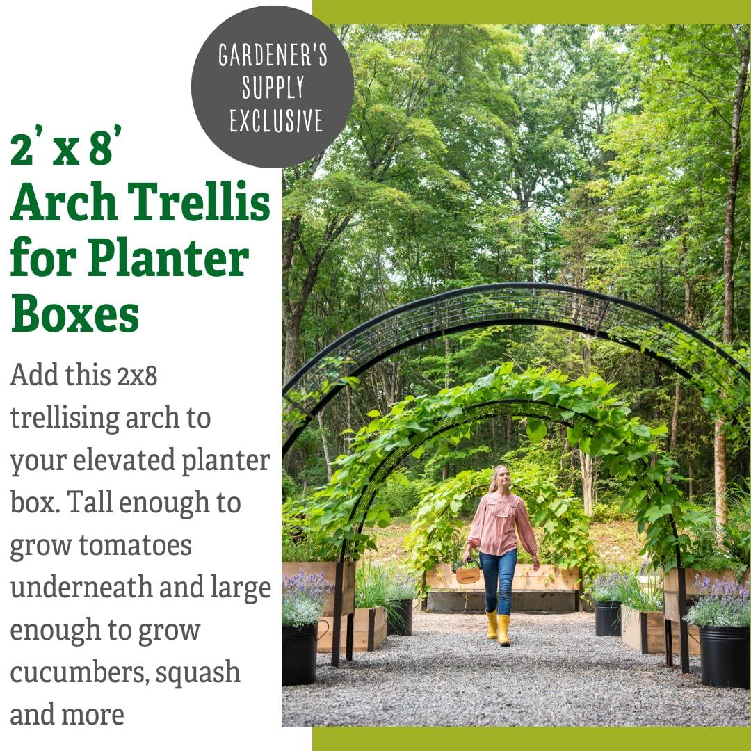 Gardener's Supply Company 2’ x 8’ Arch Trellis for Planter Boxes