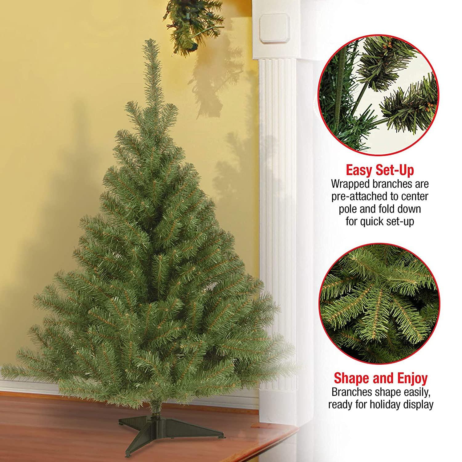4' Unlit Kincaid Spruce Artificial Christmas Tree - National Tree Company