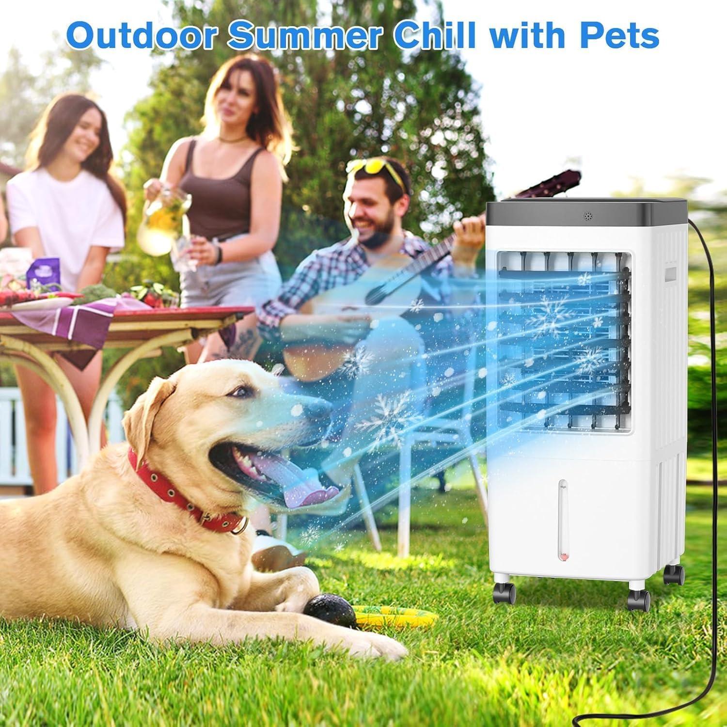 Portable 3-Gallon White and Black Air Conditioner with Remote