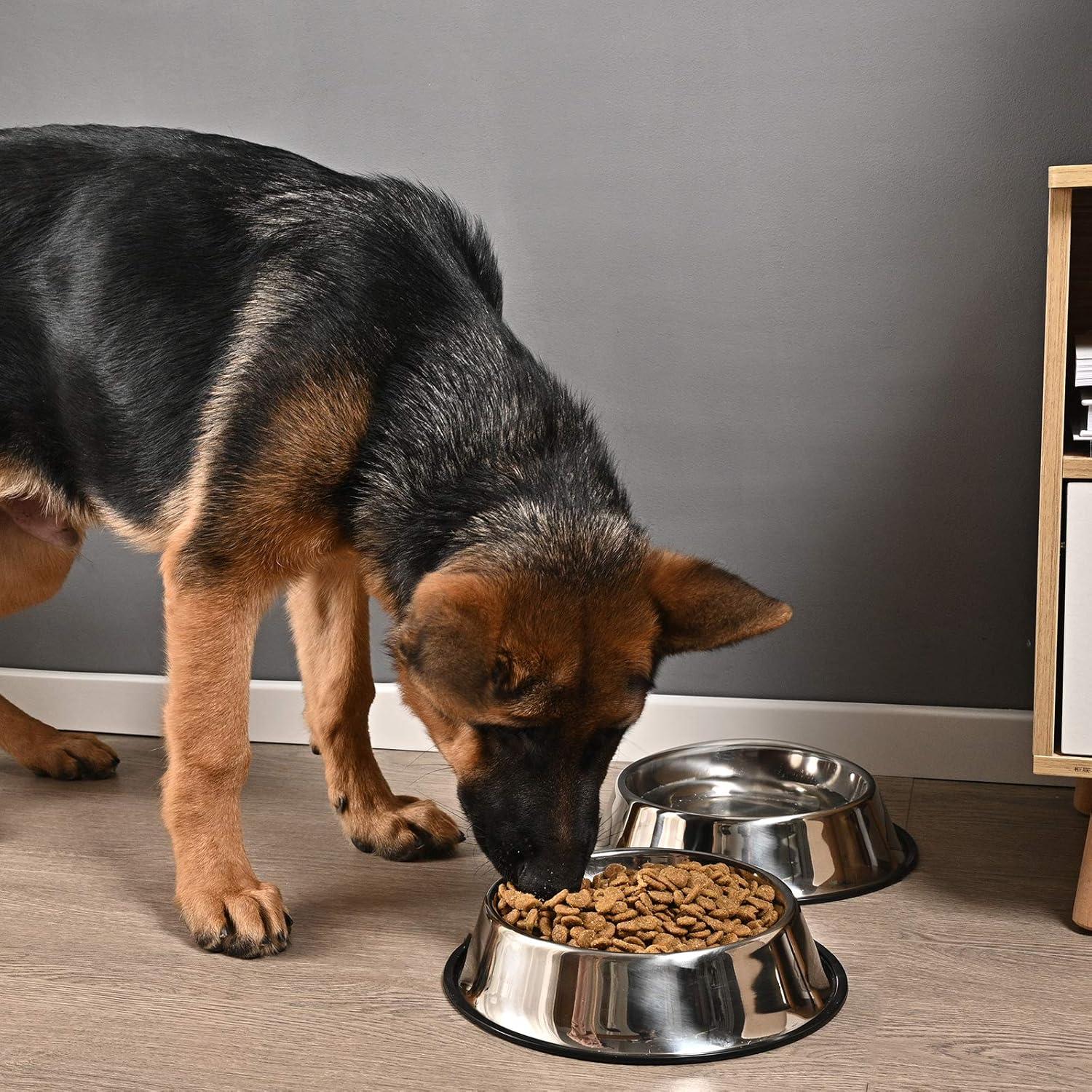 2 pack stainless steel dog bowl with non slip rubber base for small/medium/large pets, perfect dishes, pet feeder bowl and water bowl, suitable for puppies, kittens, and kittens (8 oz)