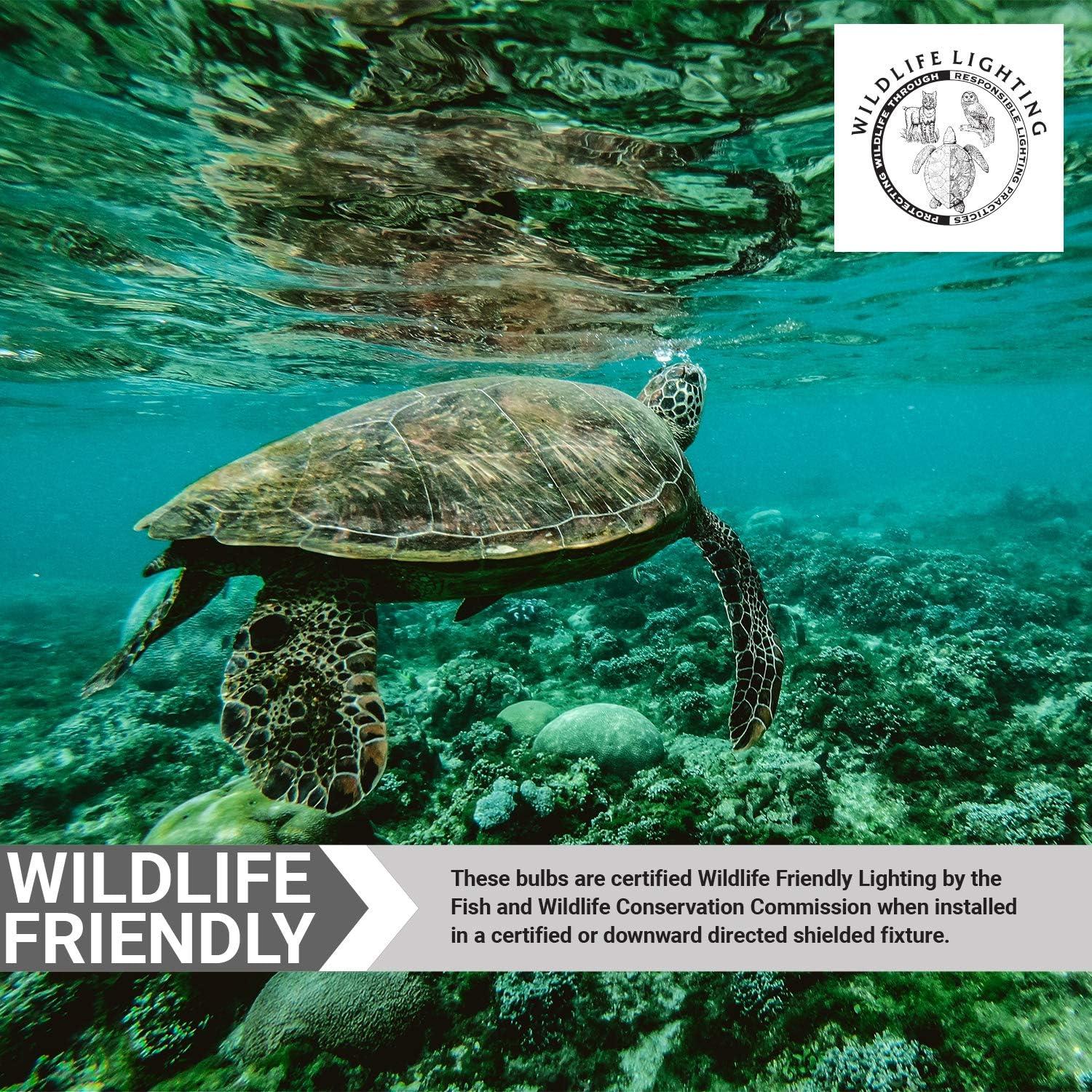 Orange Frosted LED Decorative Screw-in Light Bulb