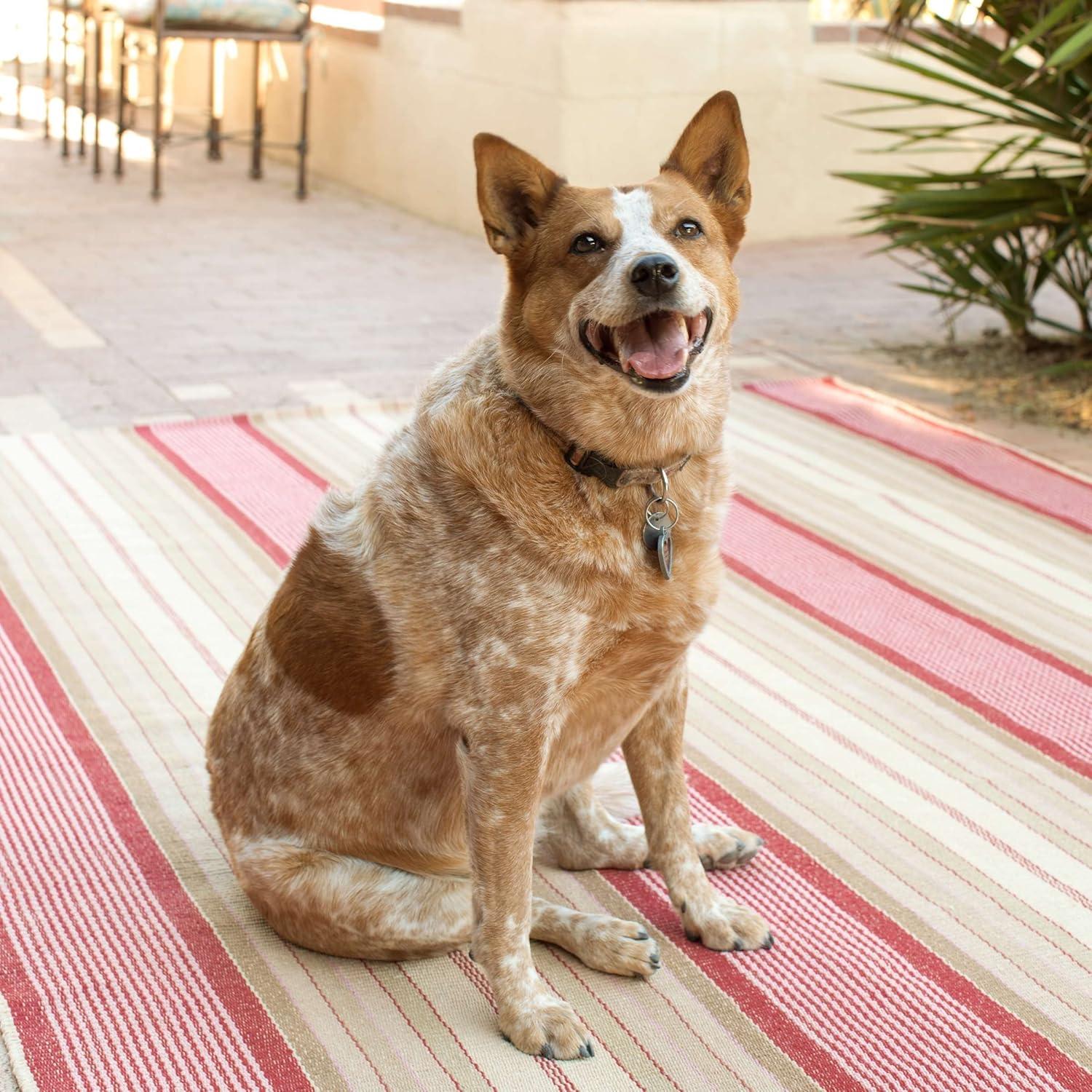 Dash and Albert Rugs Stone Soup Handwoven Cotton Rug